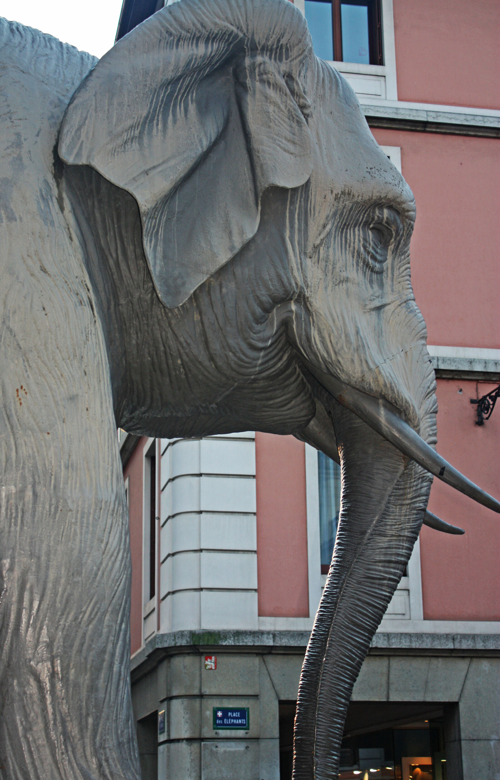 Canon EOS 450D (EOS Rebel XSi / EOS Kiss X2) sample photo. Building, corner, elephant, elephant photography