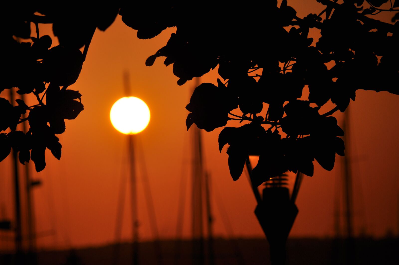 Nikon D90 sample photo. West, the sun, orange photography