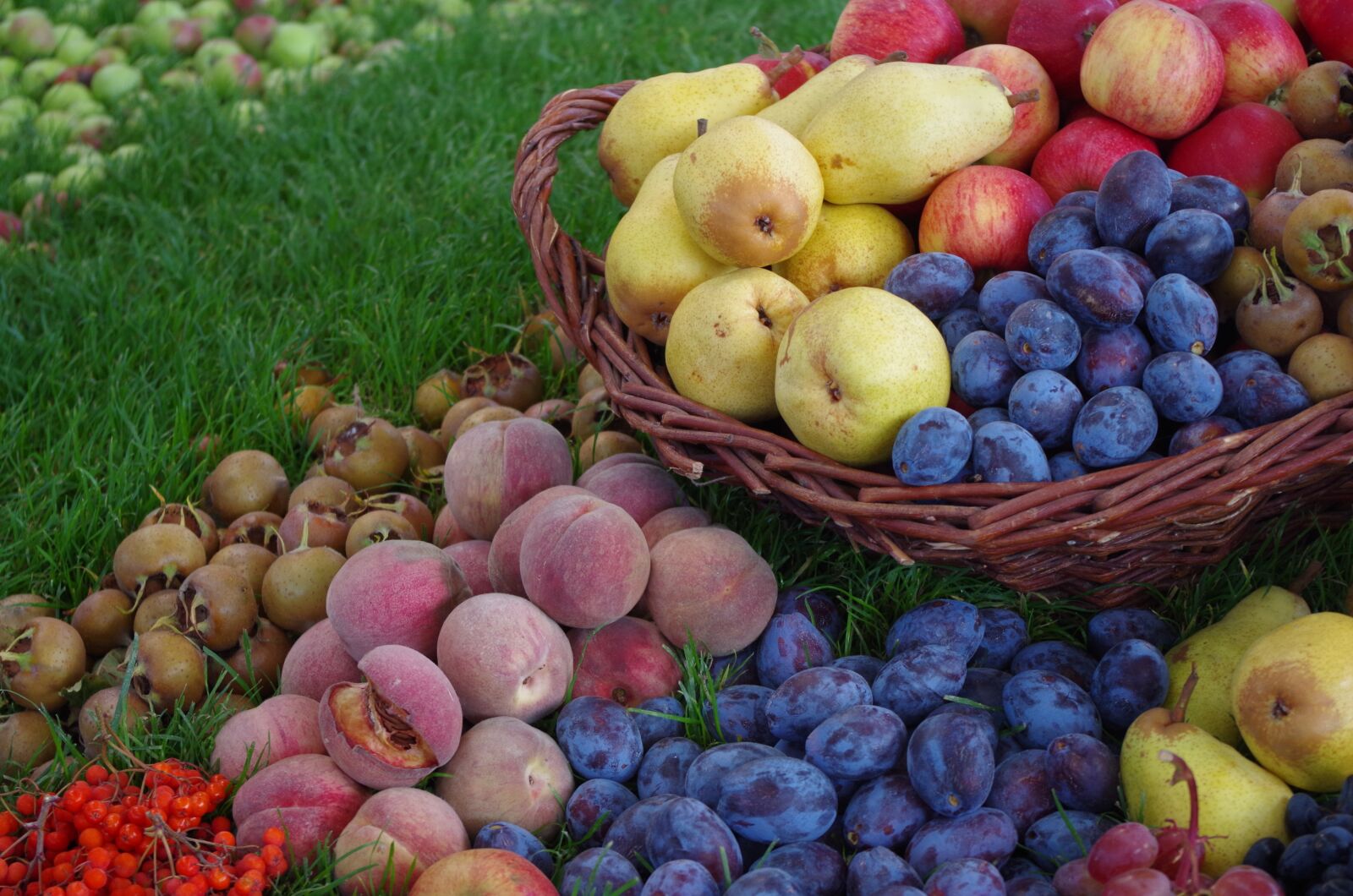 Pentax K-30 sample photo. Fruits, fruit, fruit basket photography