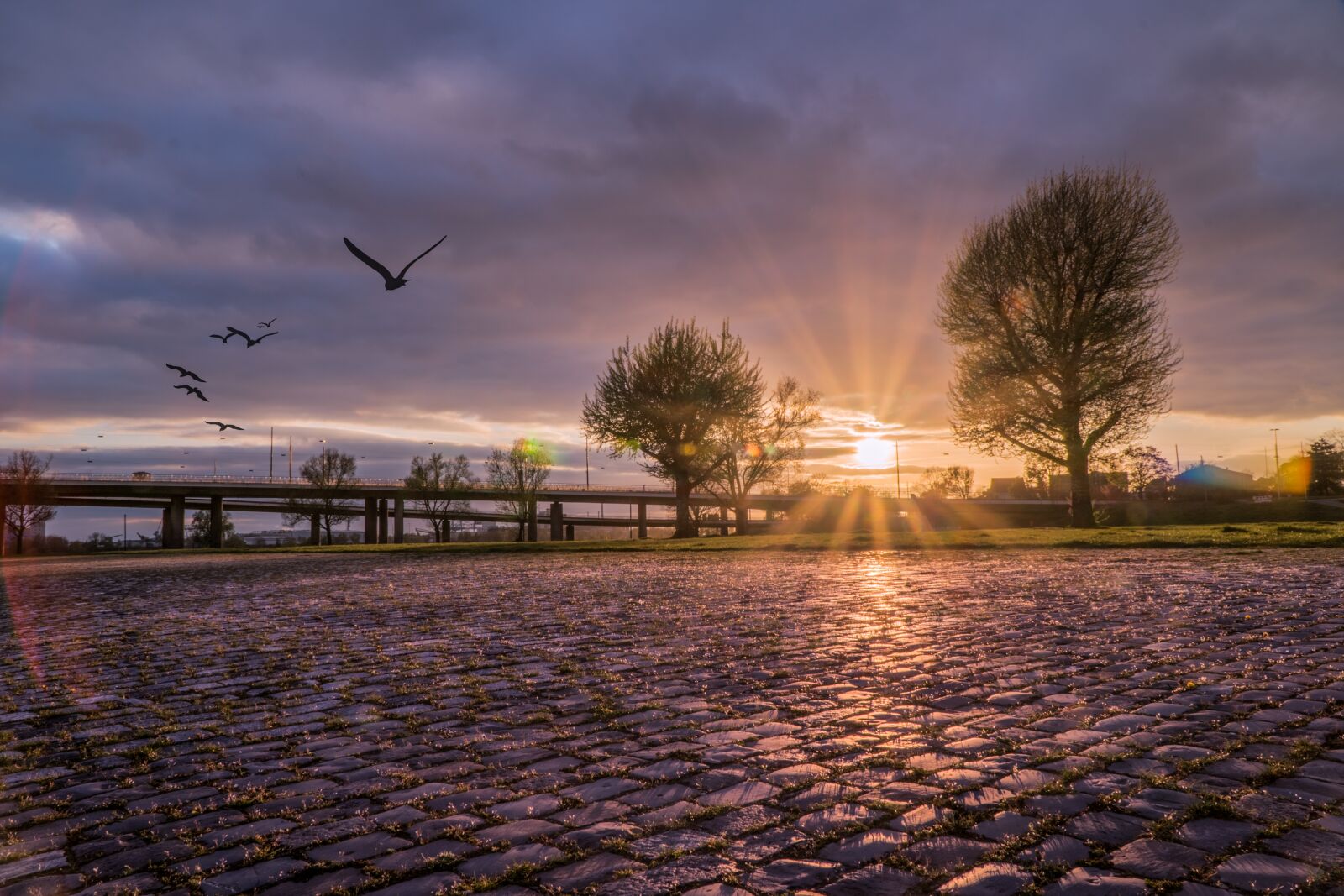 Sony a6300 + Sony E PZ 18-105mm F4 G OSS sample photo. D sseldorf, oberkassel, rhine photography