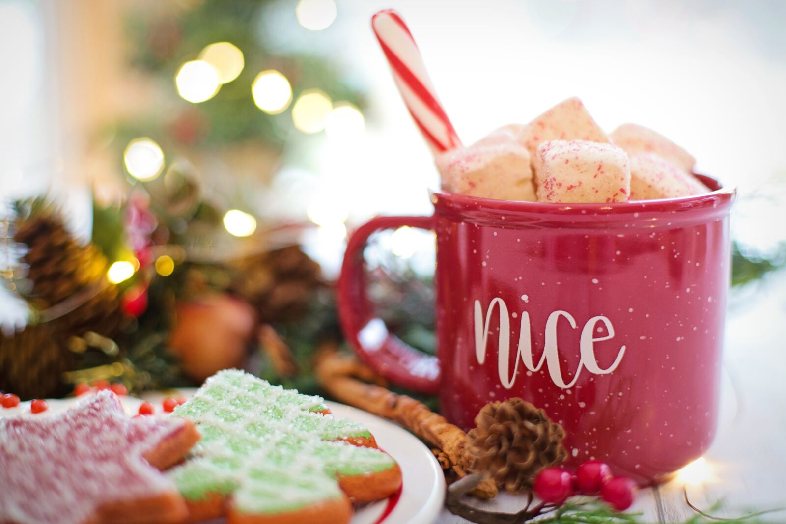 Canon EF 50mm F1.4 USM sample photo. Christmas, hot chocolate, cocoa photography