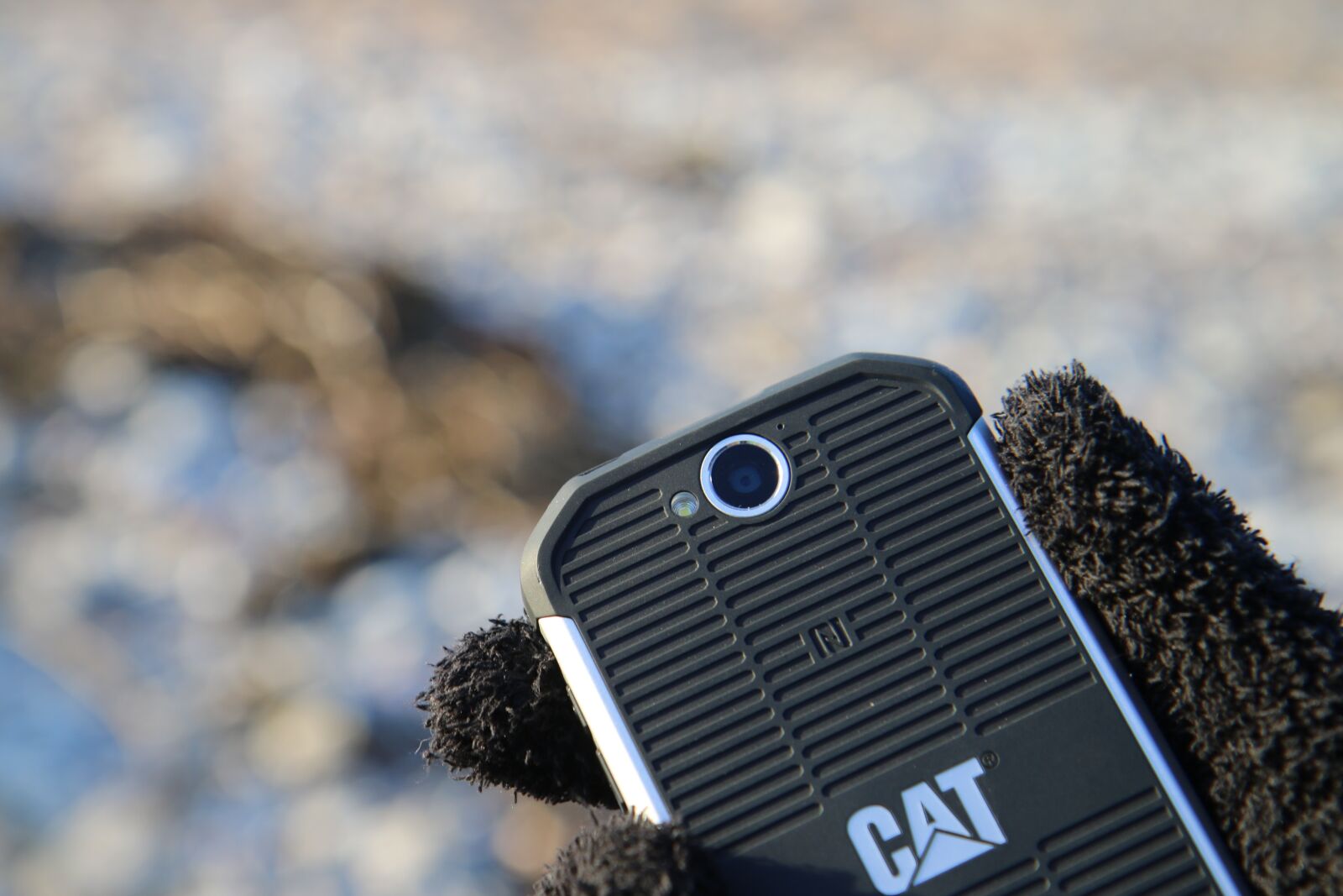 Canon EOS 70D sample photo. Smartphone, cat s40, cat photography