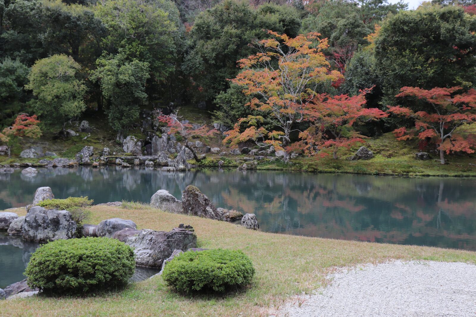Canon EOS 77D (EOS 9000D / EOS 770D) sample photo. Park, tree, plant photography