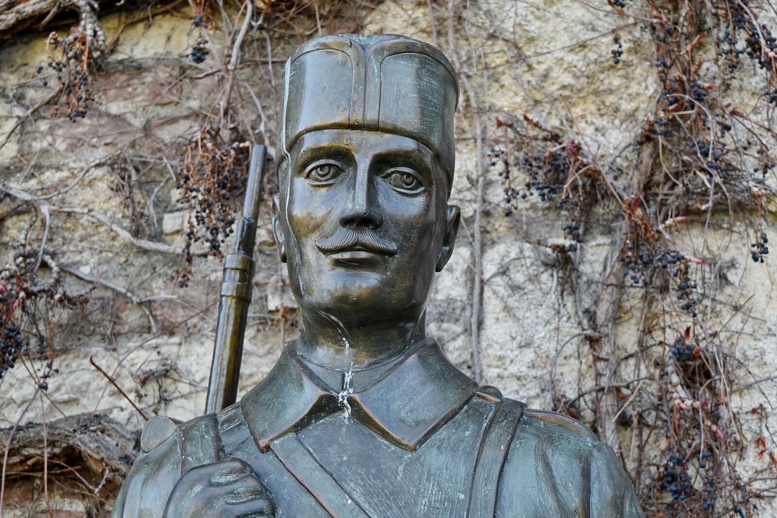 Nikon D5500 sample photo. Art, bronze, portrait, soldier photography