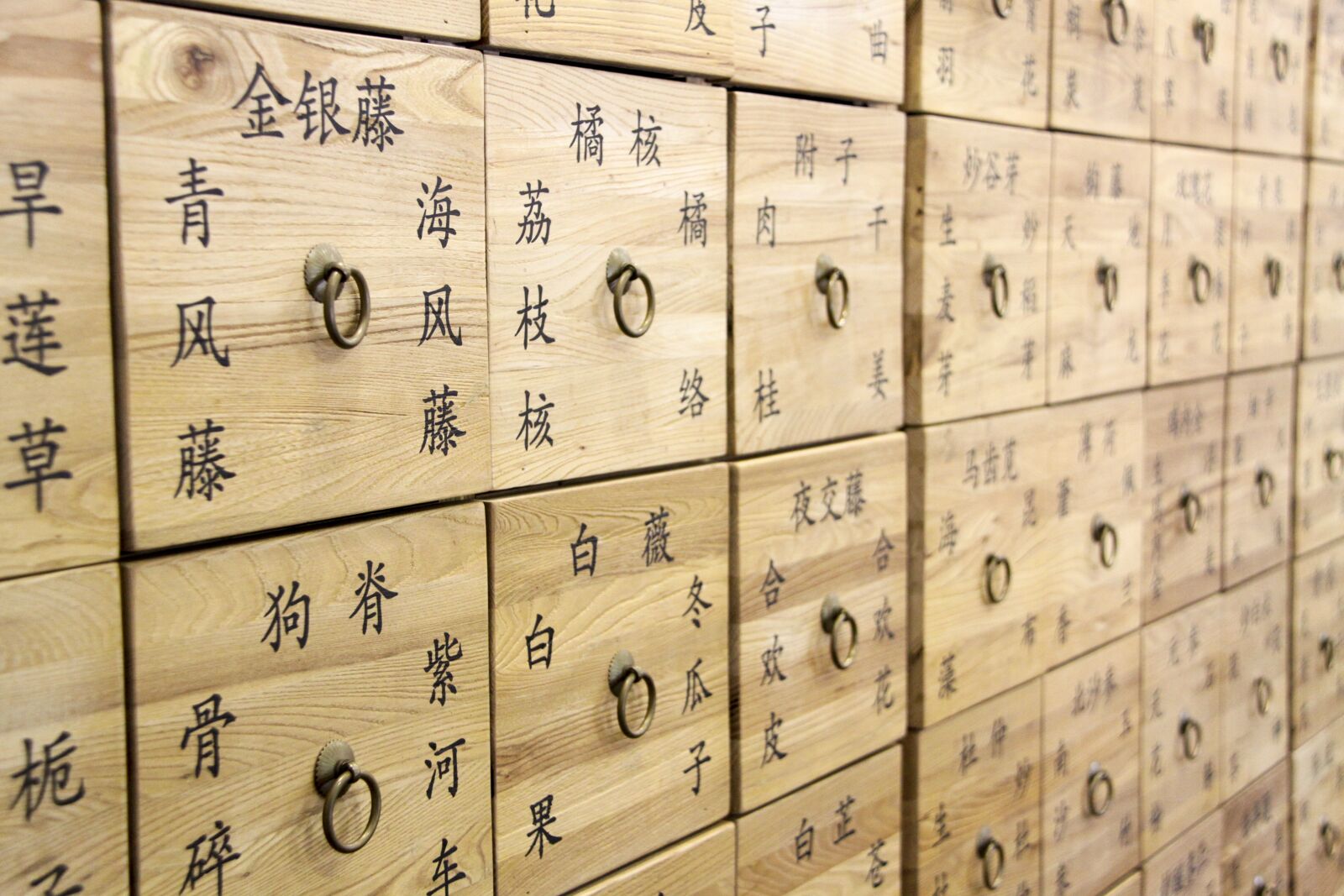Canon EOS 50D + Canon EF-S 18-200mm F3.5-5.6 IS sample photo. Chinese medicine, drawer, traditional photography