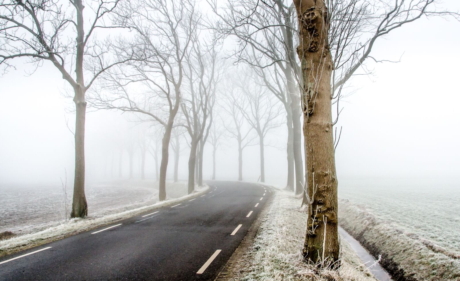 Nikon D7000 sample photo. Winter, road, scene photography