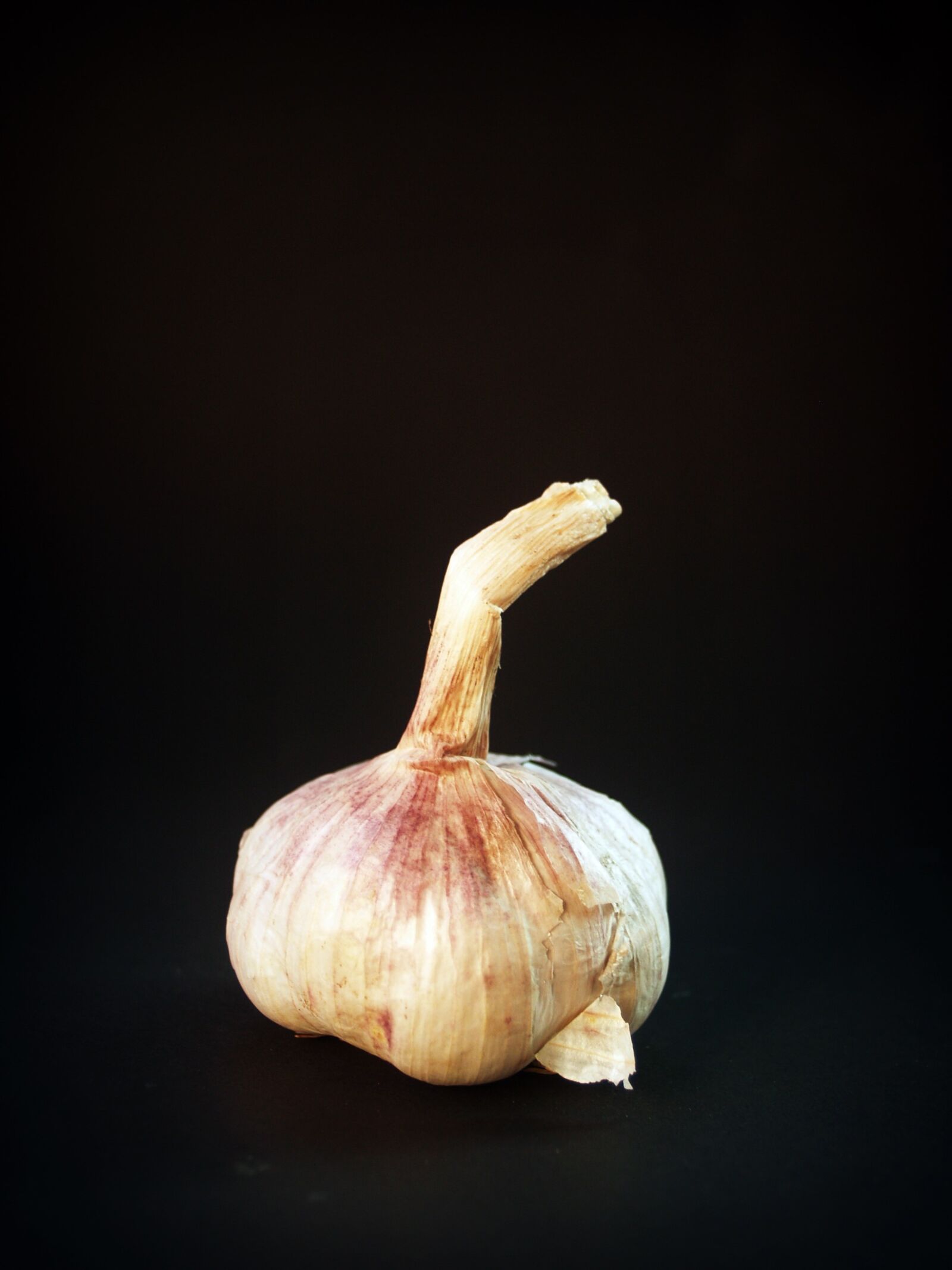 Olympus E-300 (EVOLT E-300) sample photo. Garlic, meals, white photography