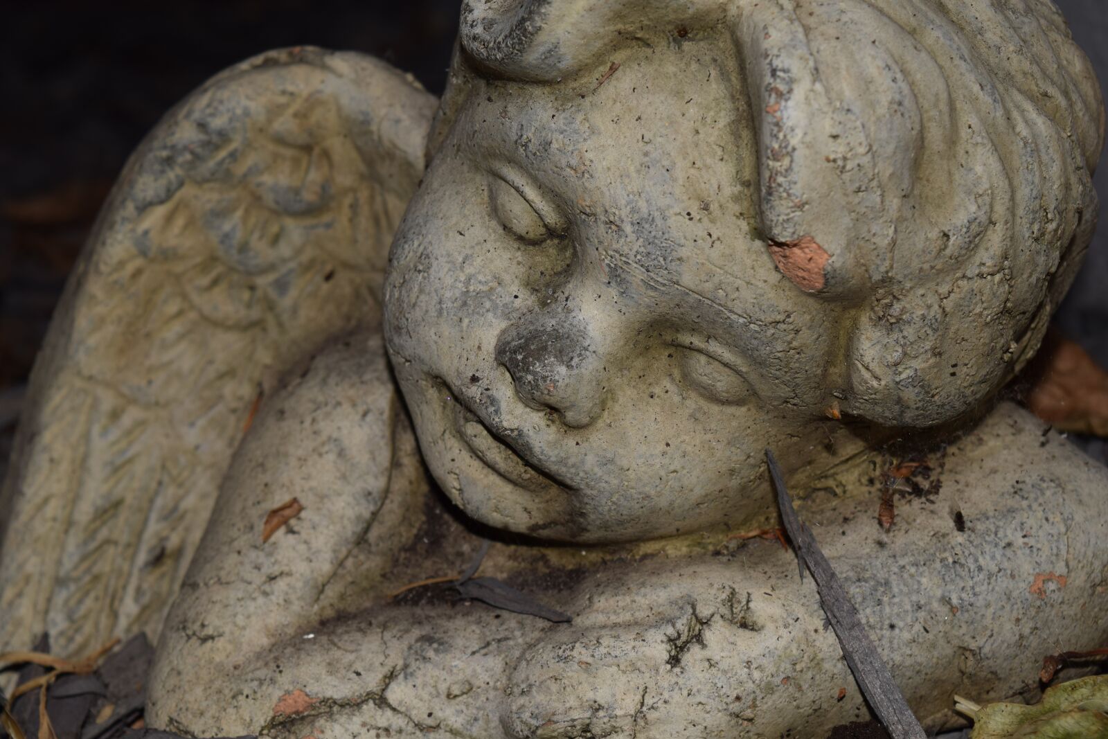 Nikon D3300 sample photo. Angel, sleep, deco photography