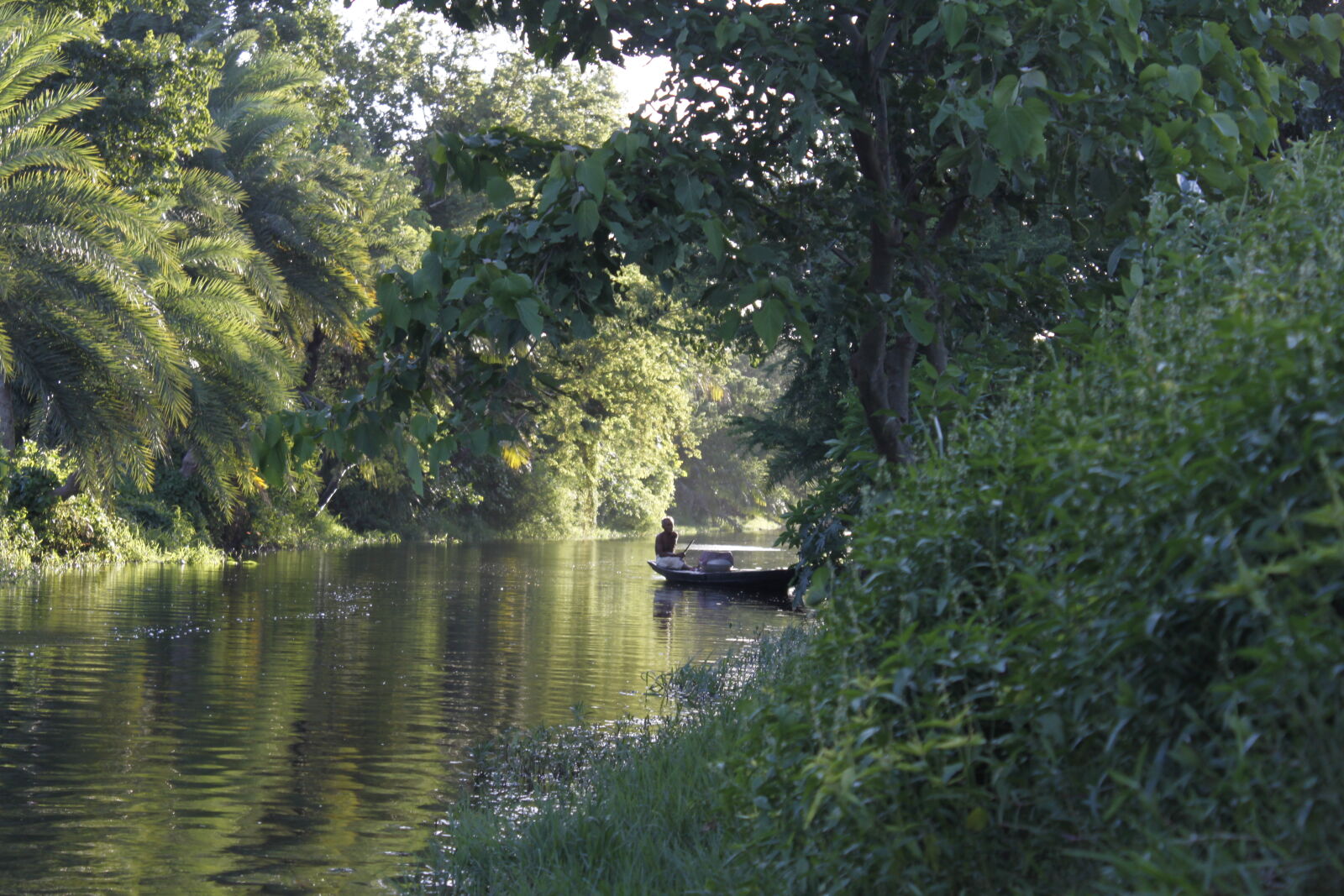Canon EOS 500D (EOS Rebel T1i / EOS Kiss X3) sample photo. Bangladesh, canal, fisherman, flower photography