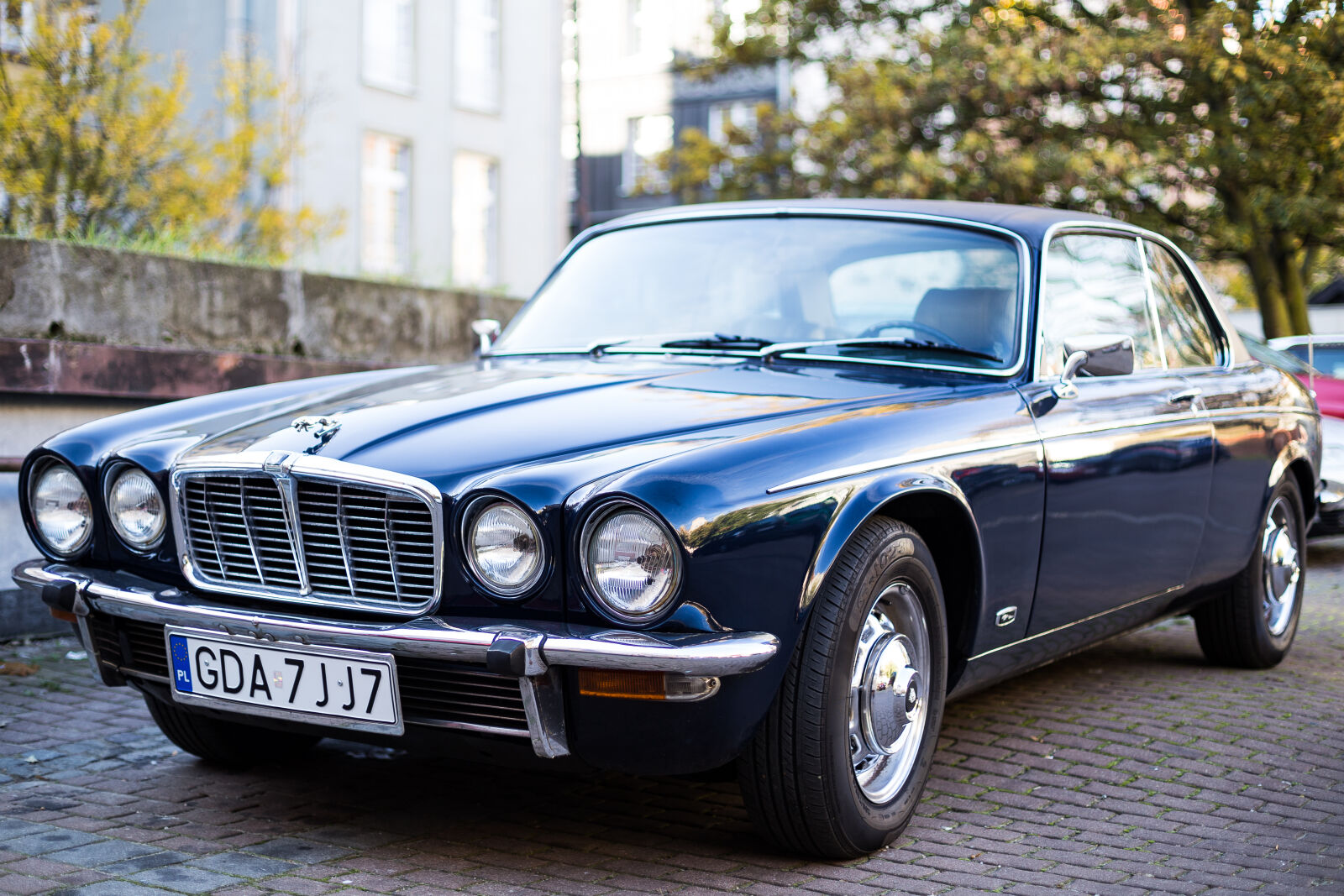 Canon EOS 6D + Canon EF 50mm F1.4 USM sample photo. Autumn, car, jaguar photography