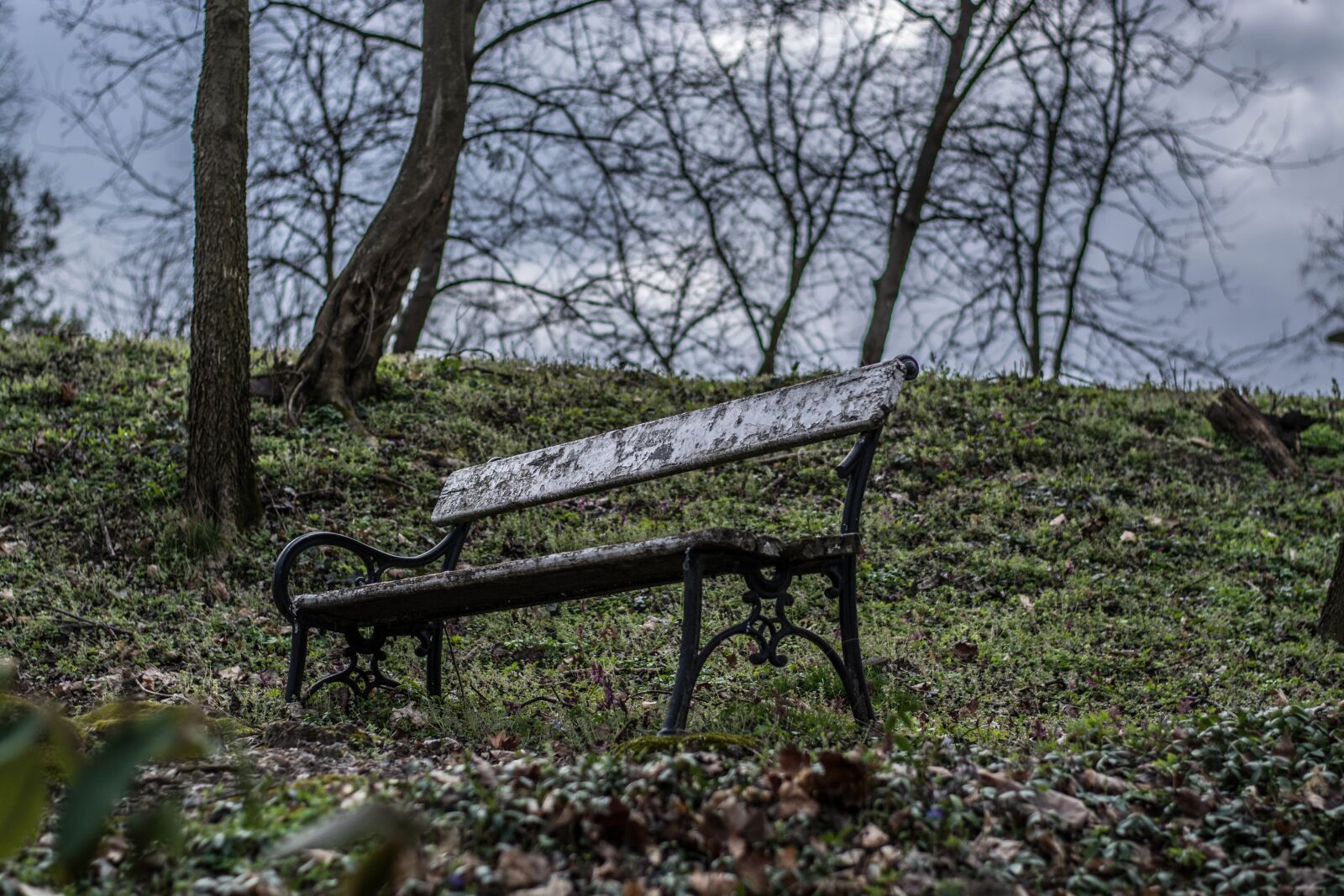 Nikon D5200 sample photo. Lonely, pad, in autumn photography