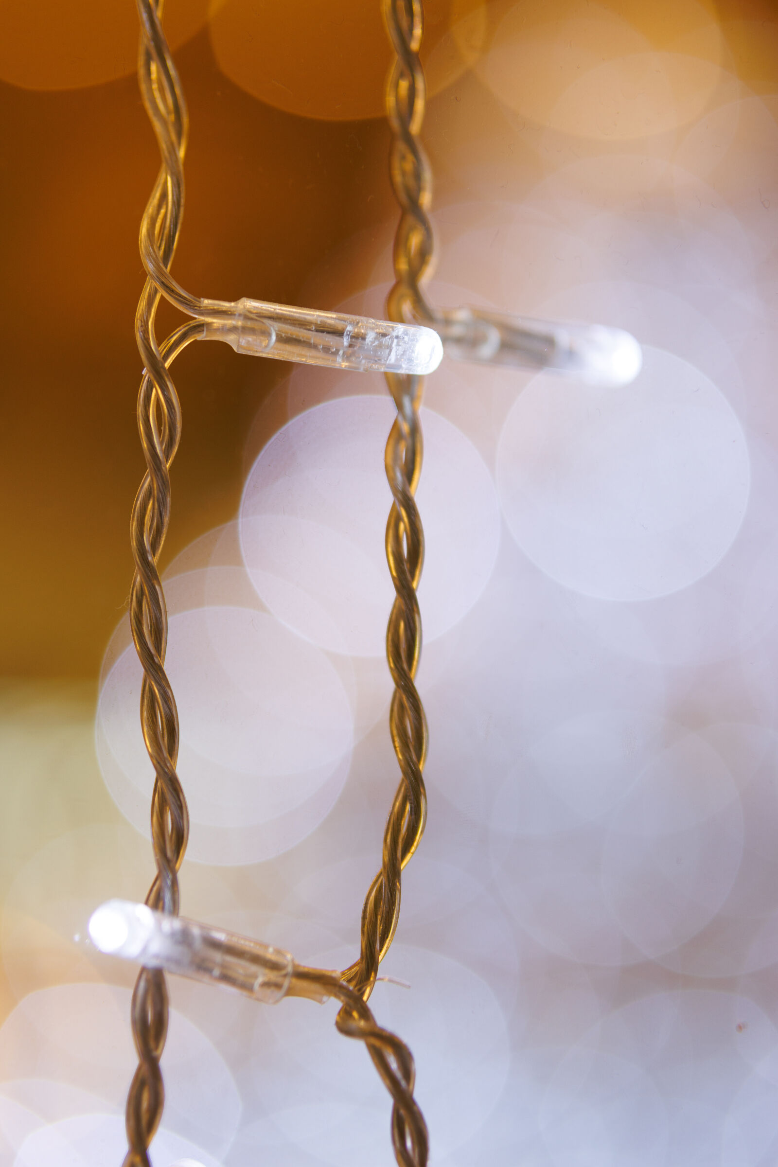 Sigma 56mm F1.4 DC DN | C sample photo. Christmas decoration bokeh photography