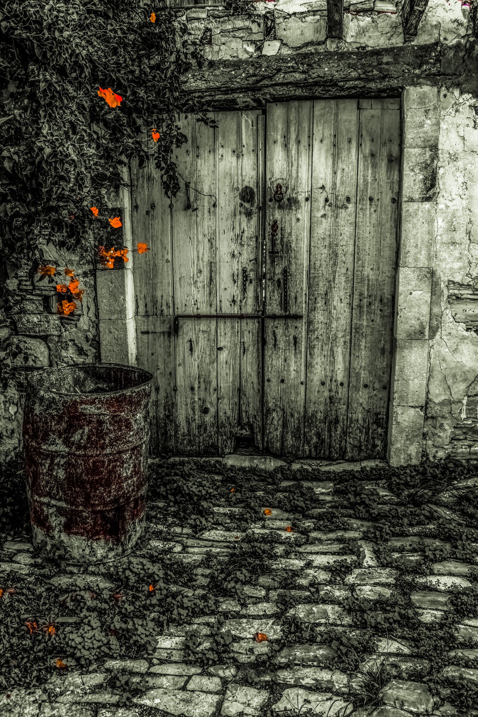 Nikon D3300 sample photo. Door, old, wooden photography