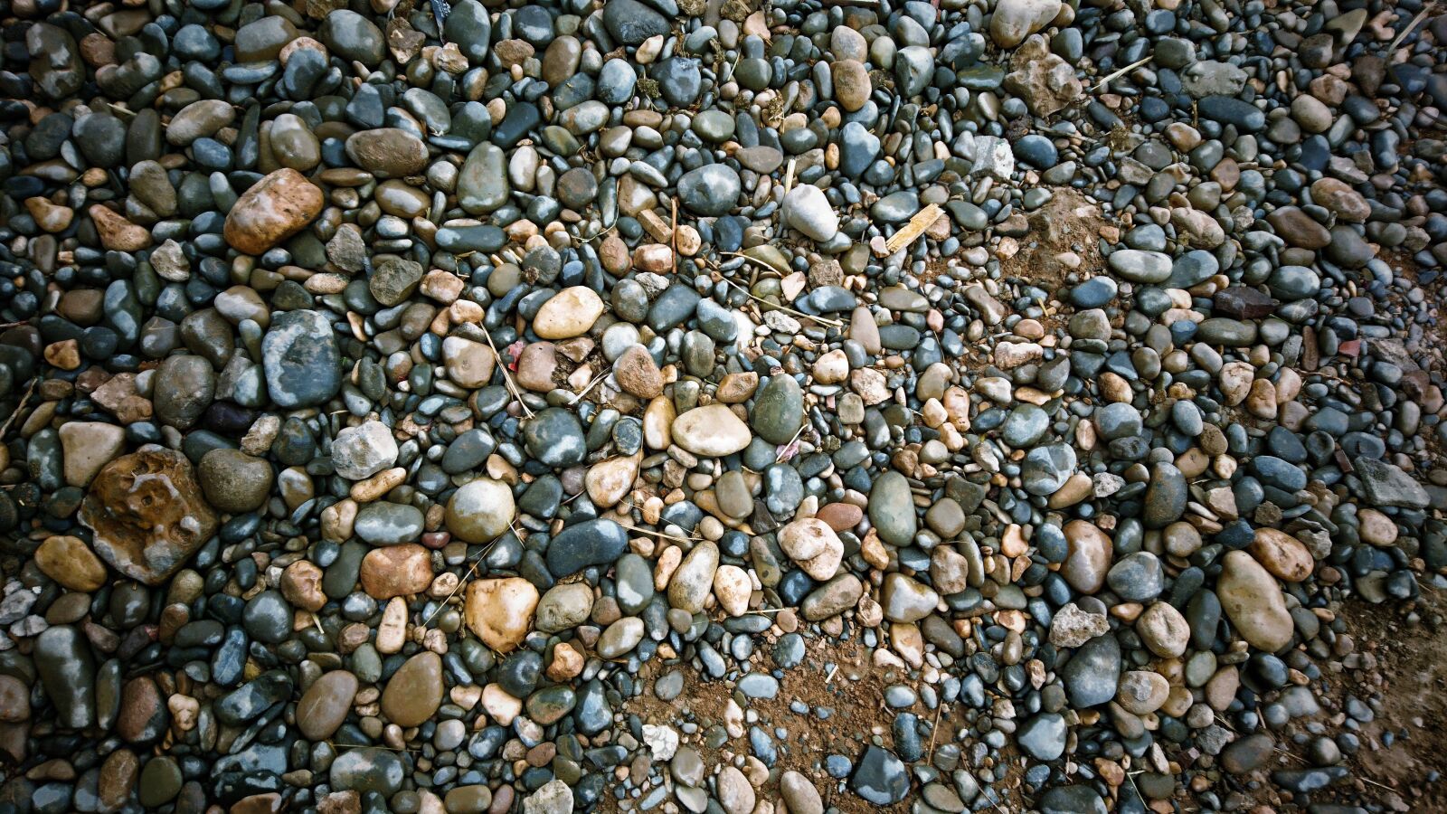 Sony Xperia X sample photo. Ground, black stone, lime photography