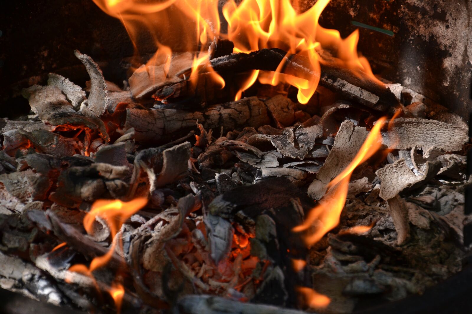 Nikon D3100 sample photo. Fire, blaze, barbecue photography