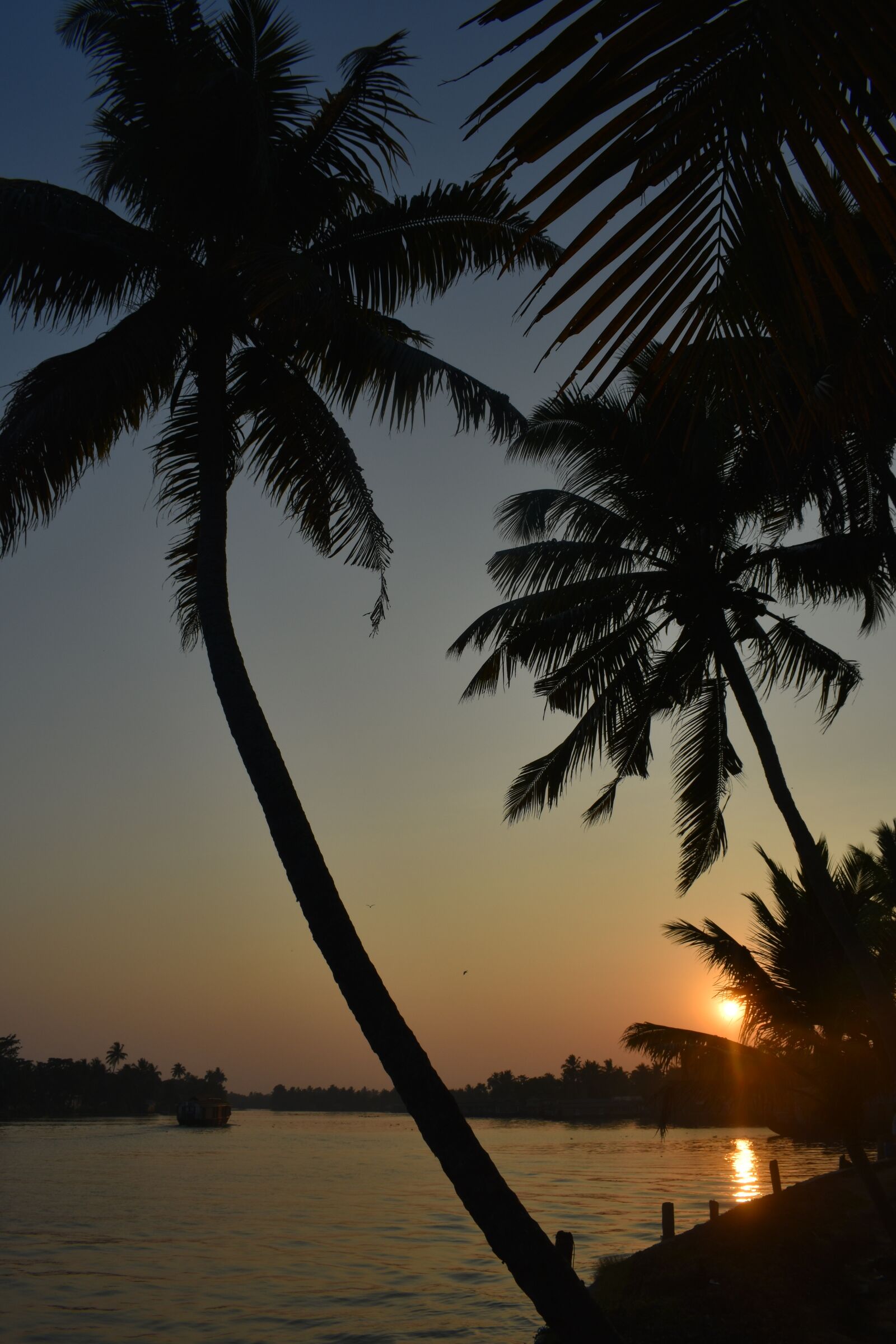 Nikon D3400 sample photo. Alleppey, alappuzha, kerala photography