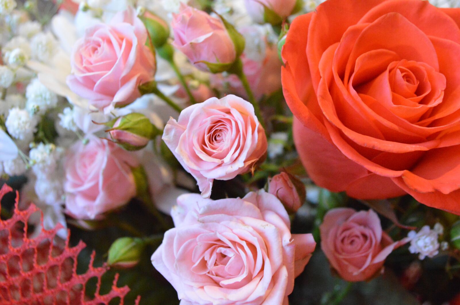 Nikon D3200 sample photo. Bouquet, flowers, roses photography
