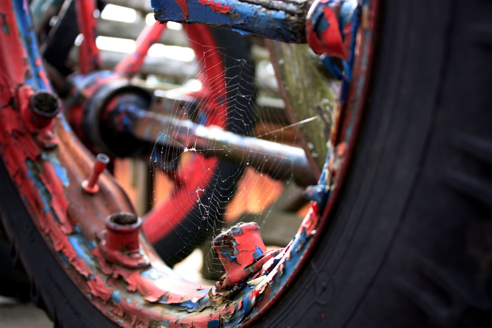 Canon EOS 450D (EOS Rebel XSi / EOS Kiss X2) sample photo. Wheel, cobweb, spider webs photography