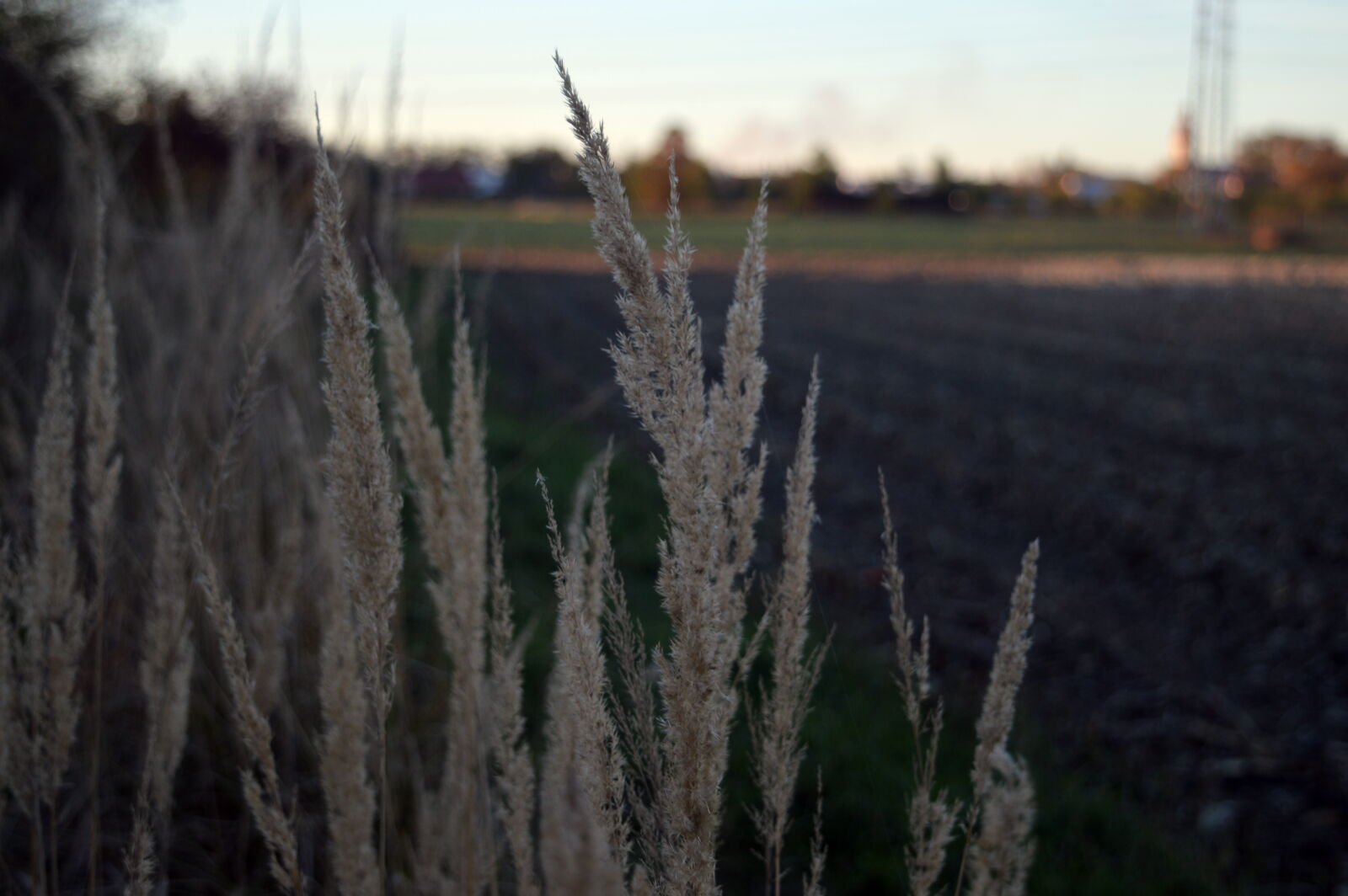 Nikon D3200 sample photo. Mothernature, nature, nature, photography photography