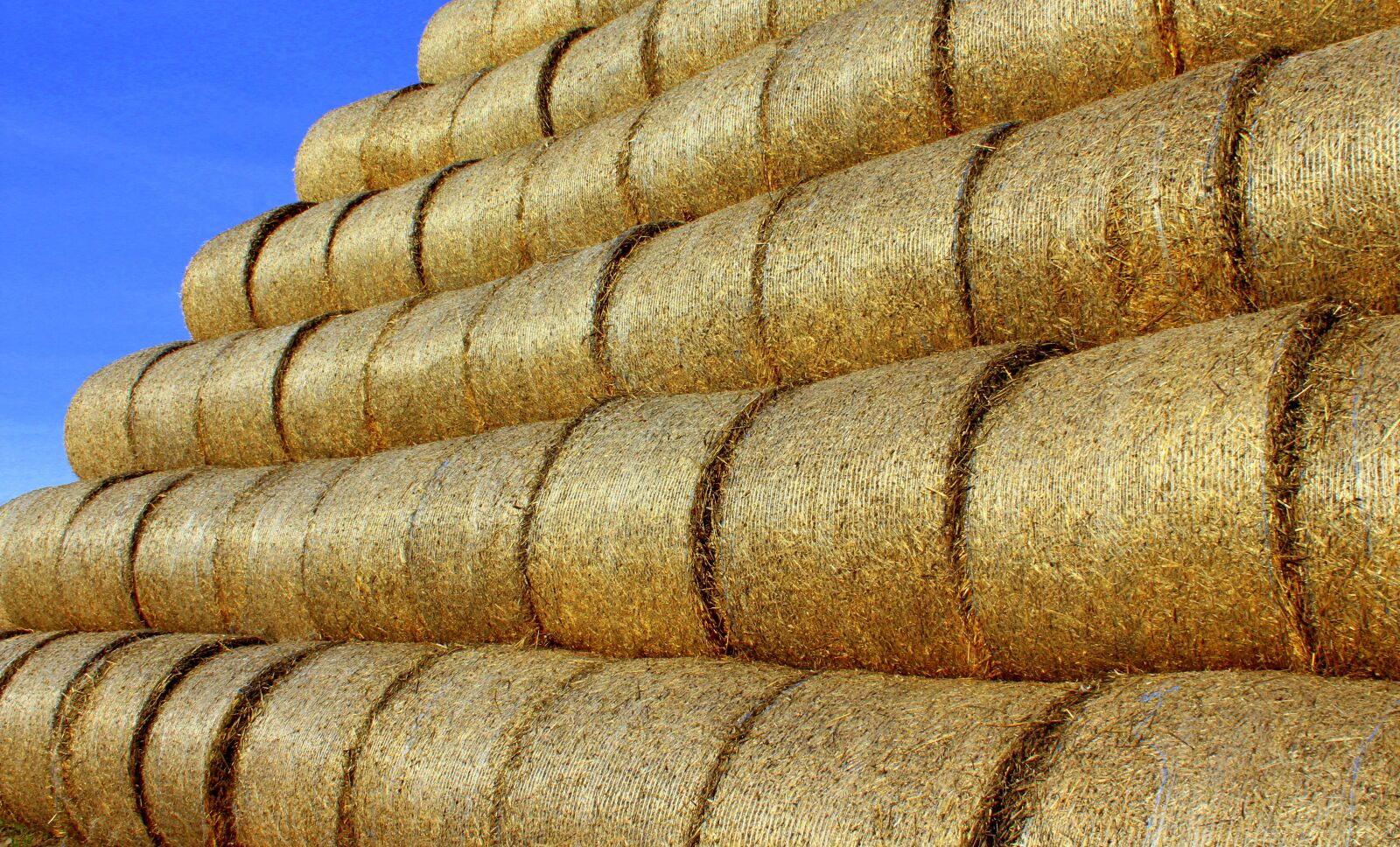 Canon EOS 1200D (EOS Rebel T5 / EOS Kiss X70 / EOS Hi) sample photo. Straw, bales, agriculture photography