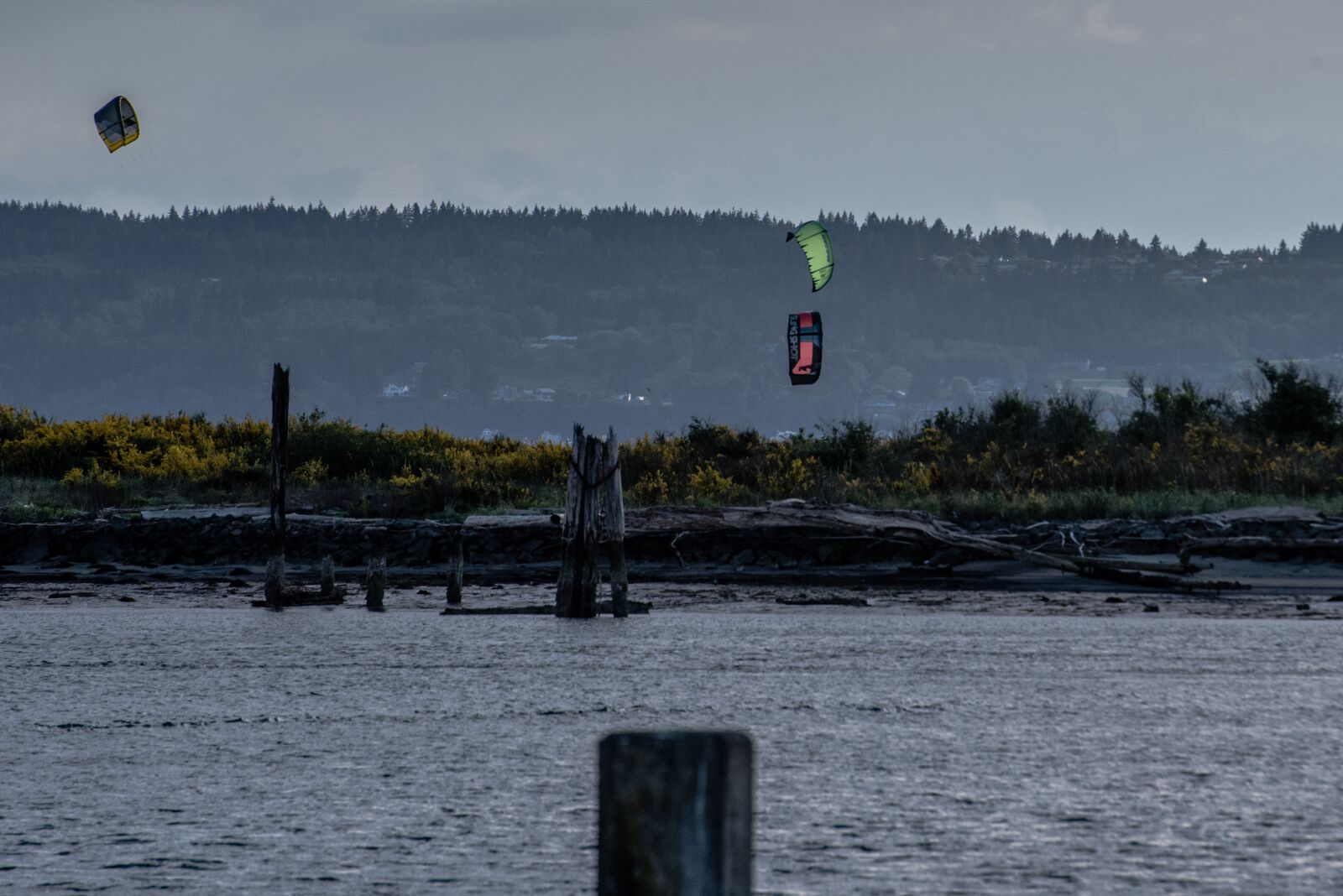 Nikon D750 sample photo. Kites, beach, kite photography