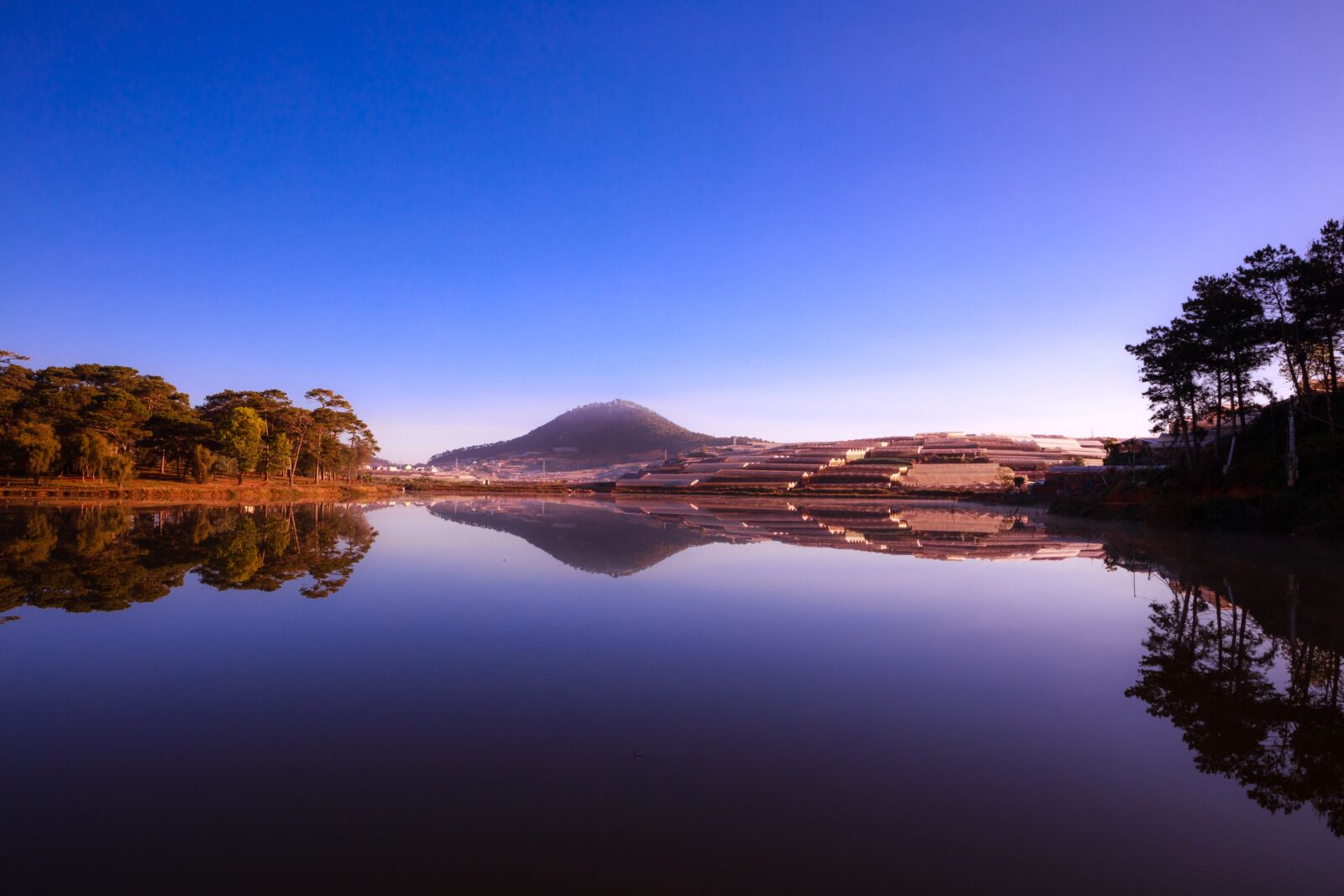 Canon EF 24-70mm F2.8L II USM sample photo. Outdoor, da lat, dawn photography