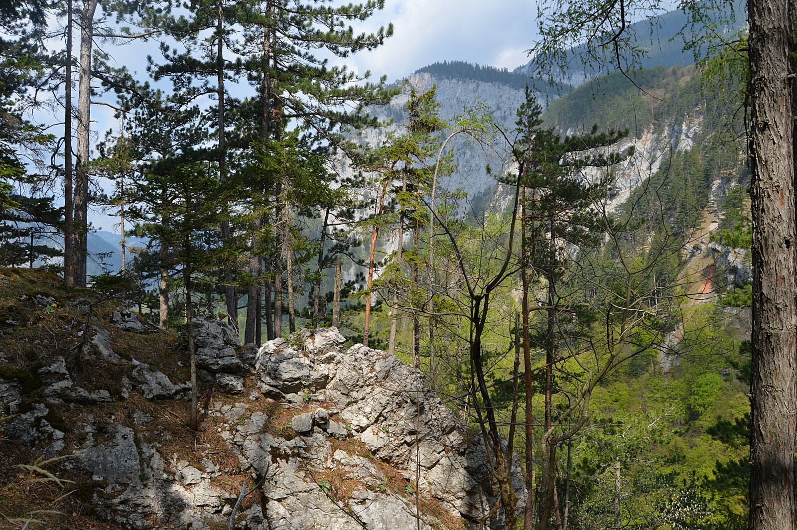Nikon D3200 sample photo. Snow mountain, rax, lower photography