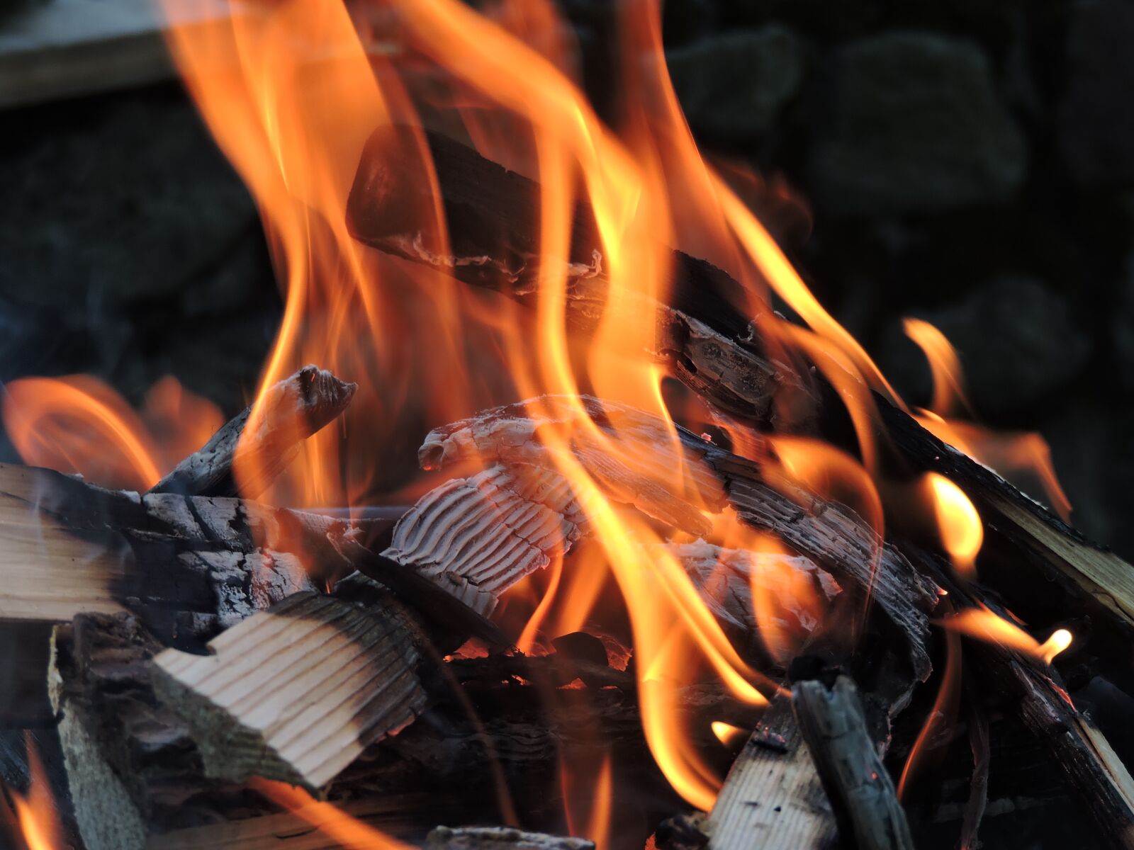 Nikon Coolpix P530 sample photo. Fire, barbecue, flame photography