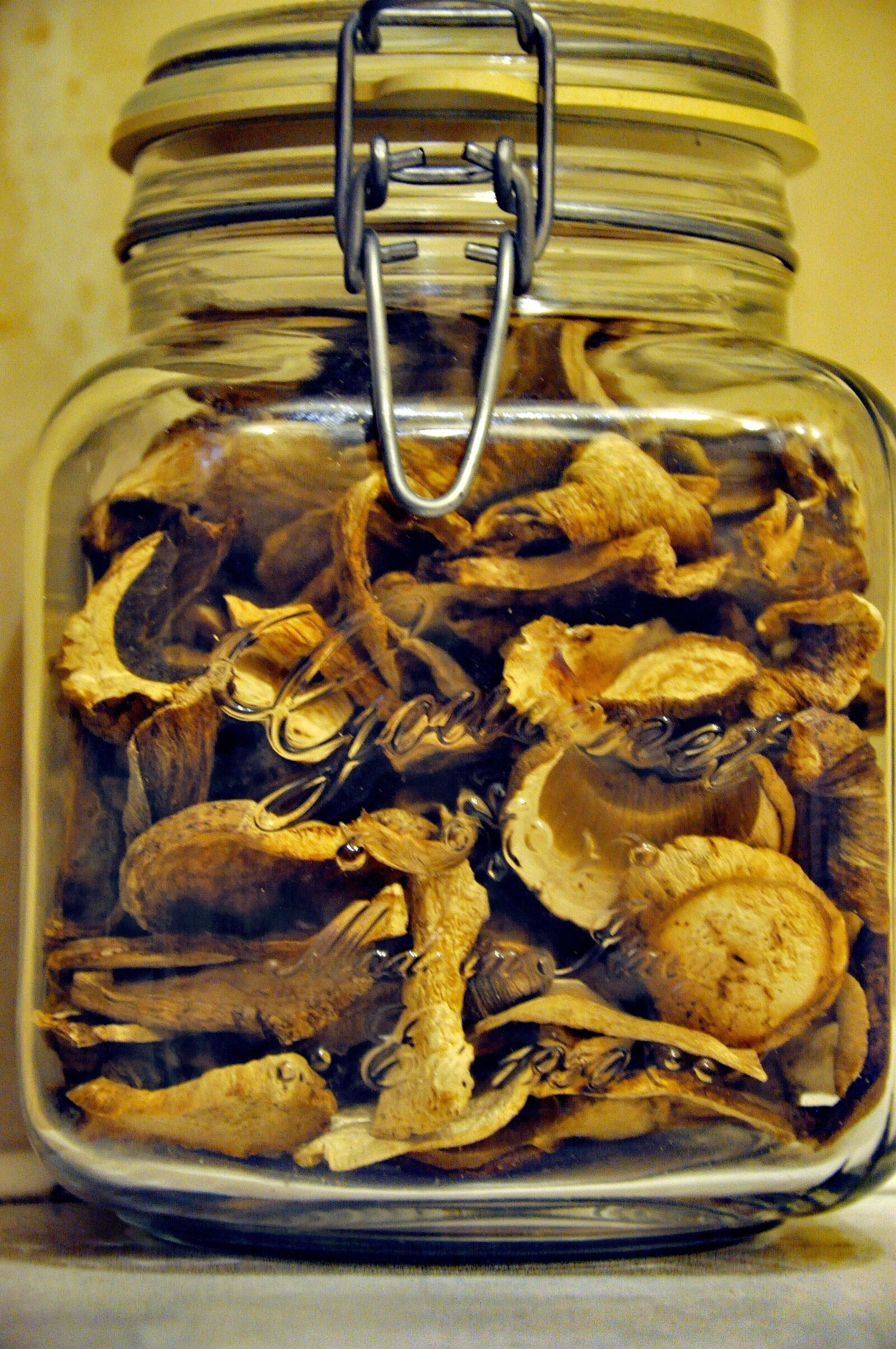 Nikon D90 sample photo. Mushrooms, bank, clarity photography