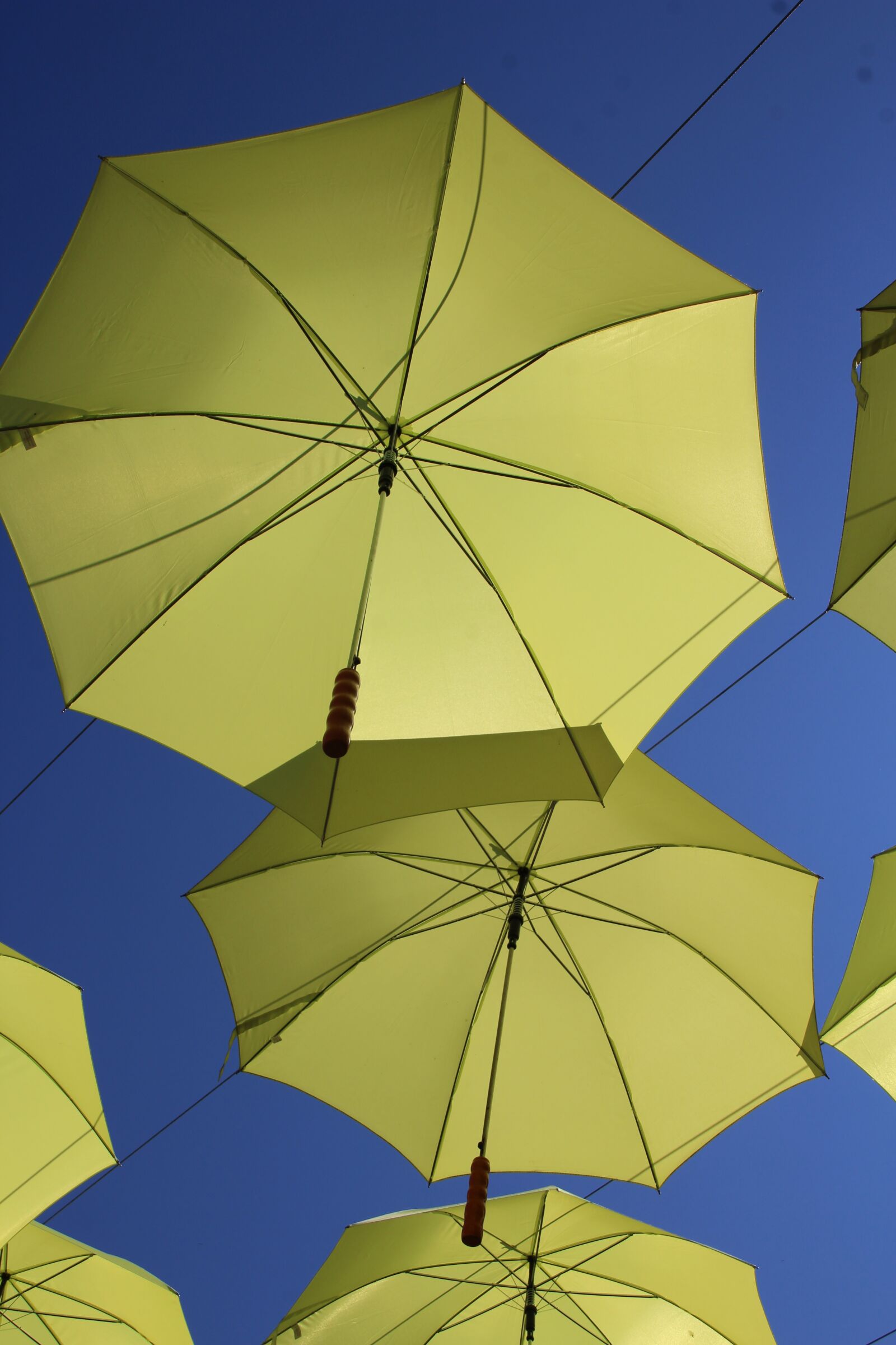 Canon EOS 1200D (EOS Rebel T5 / EOS Kiss X70 / EOS Hi) sample photo. Umbrella, szentendre, decorative street photography