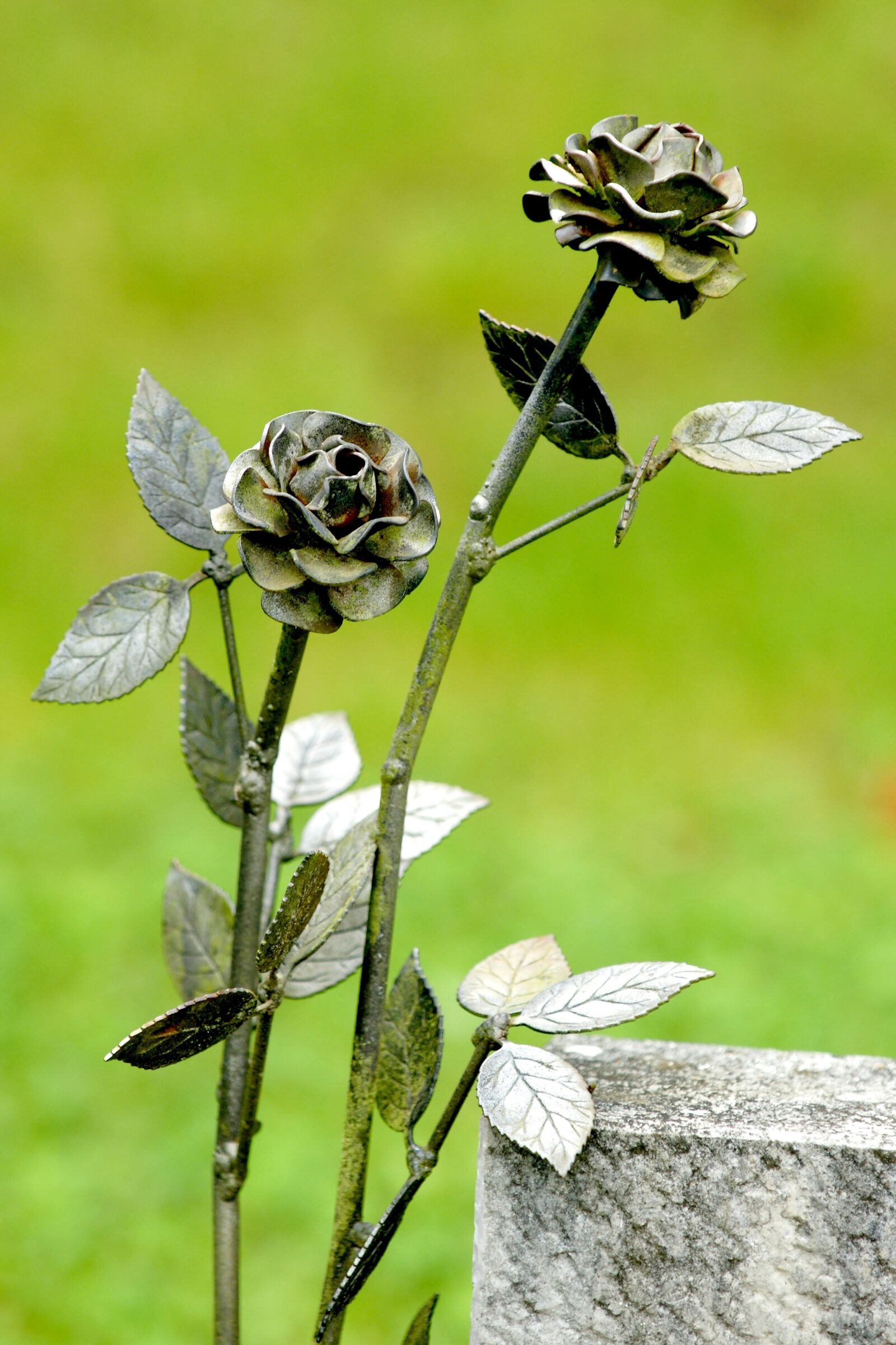 Sony Alpha DSLR-A700 sample photo. Roses, decoration, statue photography