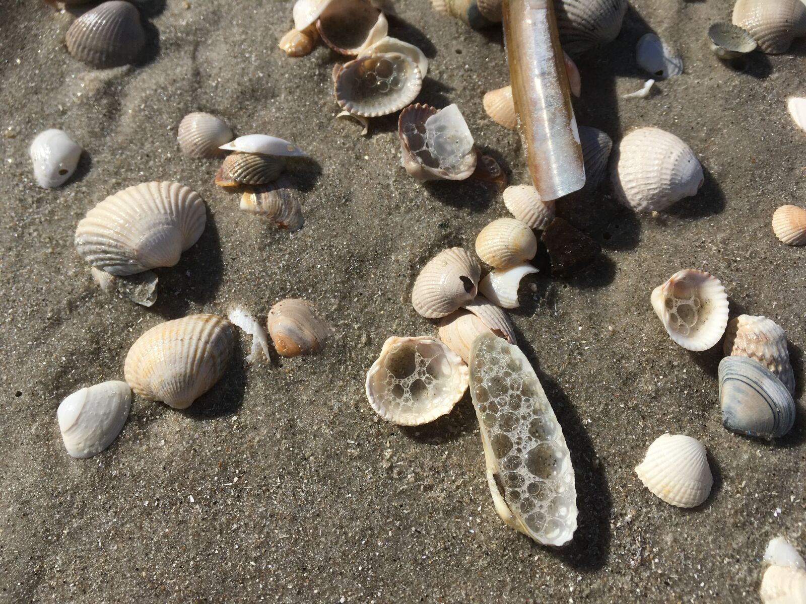 iPhone SE back camera 4.15mm f/2.2 sample photo. North sea, beach, sand photography