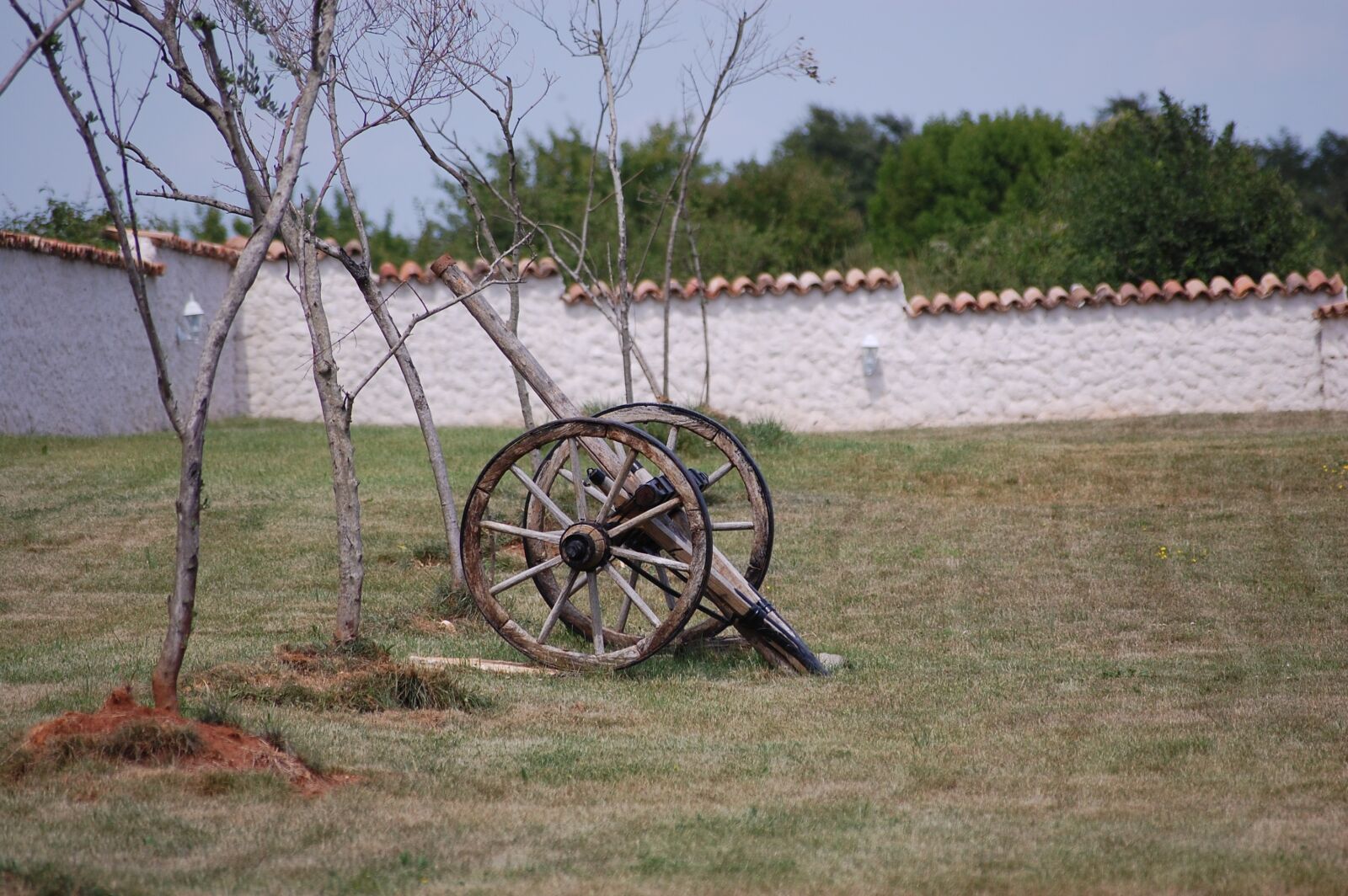 Nikon D40 sample photo. Cart, garden, wheelbarrow photography