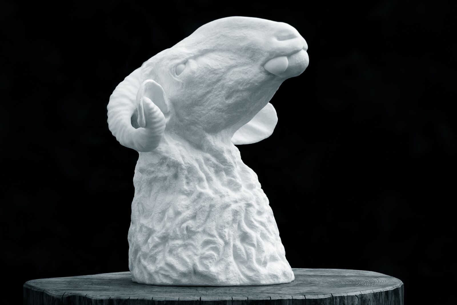 Canon EOS 50D sample photo. Aries, marble, art photography