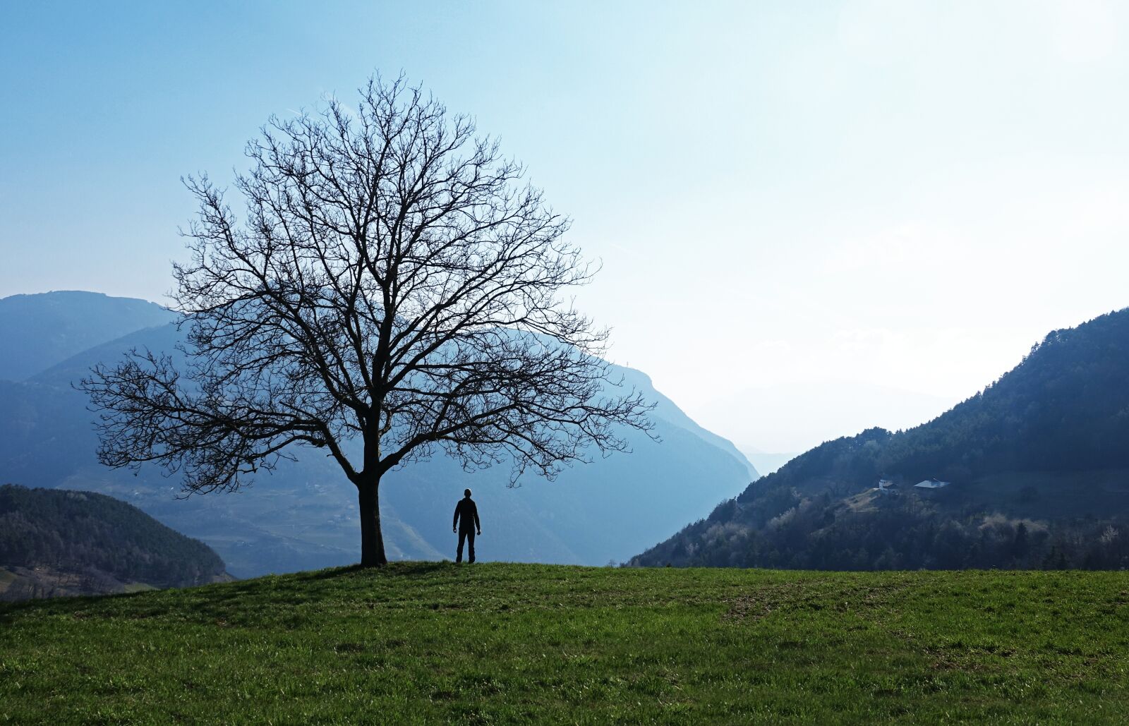 Sony Cyber-shot DSC-RX10 III sample photo. Landscape, tree, man photography