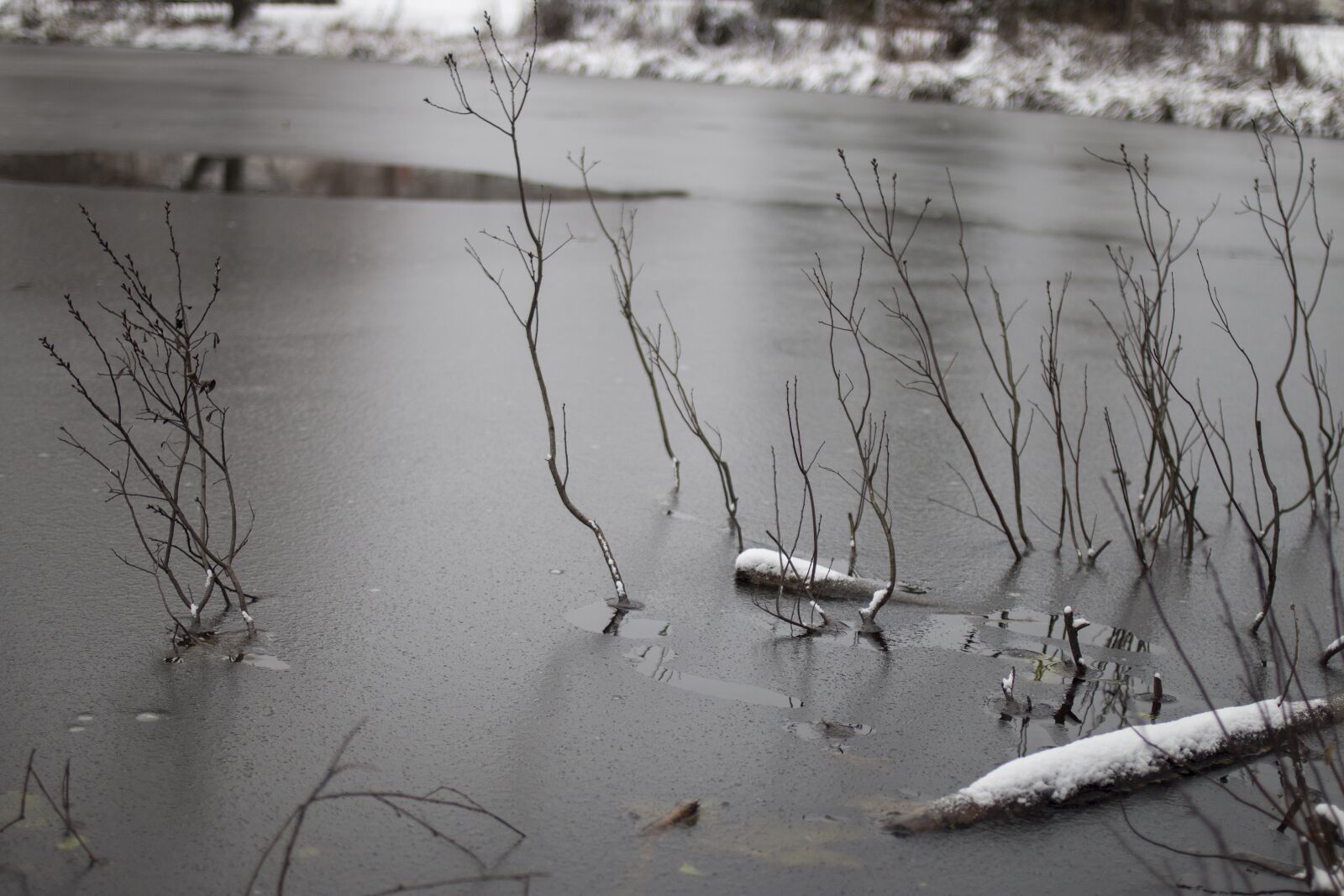 Canon EF 35mm F2 sample photo. Pond, park, ice photography