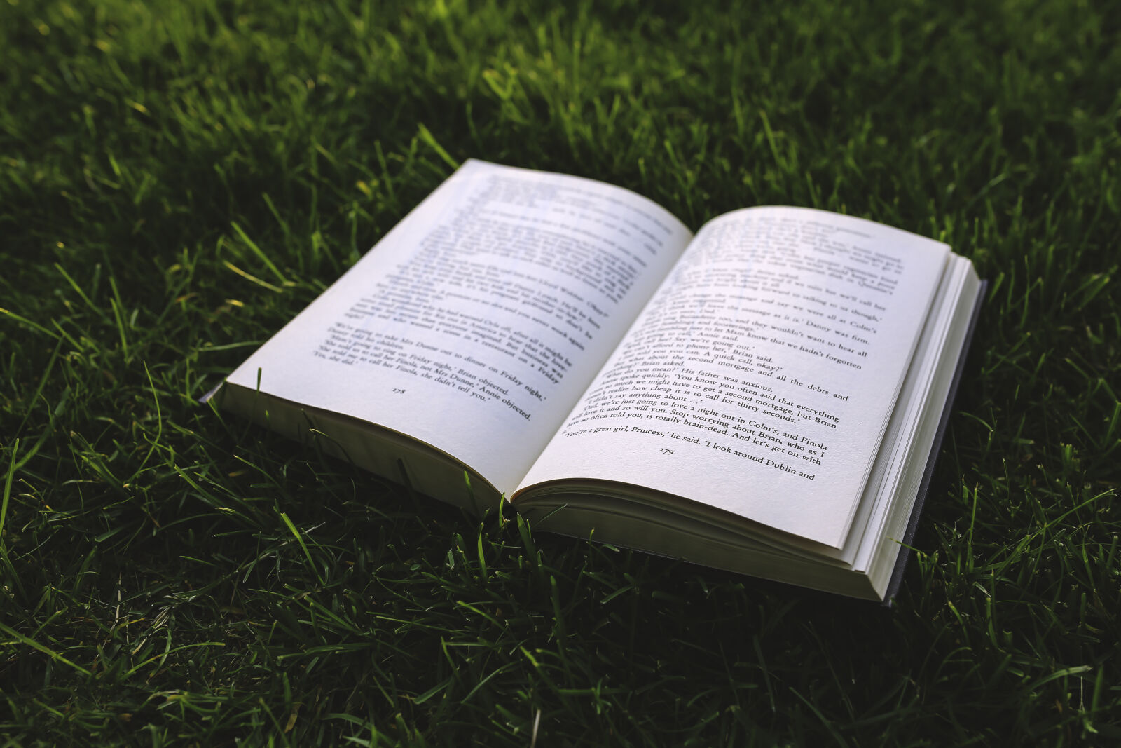 Canon EOS 6D + Sigma 35mm F1.4 DG HSM Art sample photo. Book, on, the, grass photography