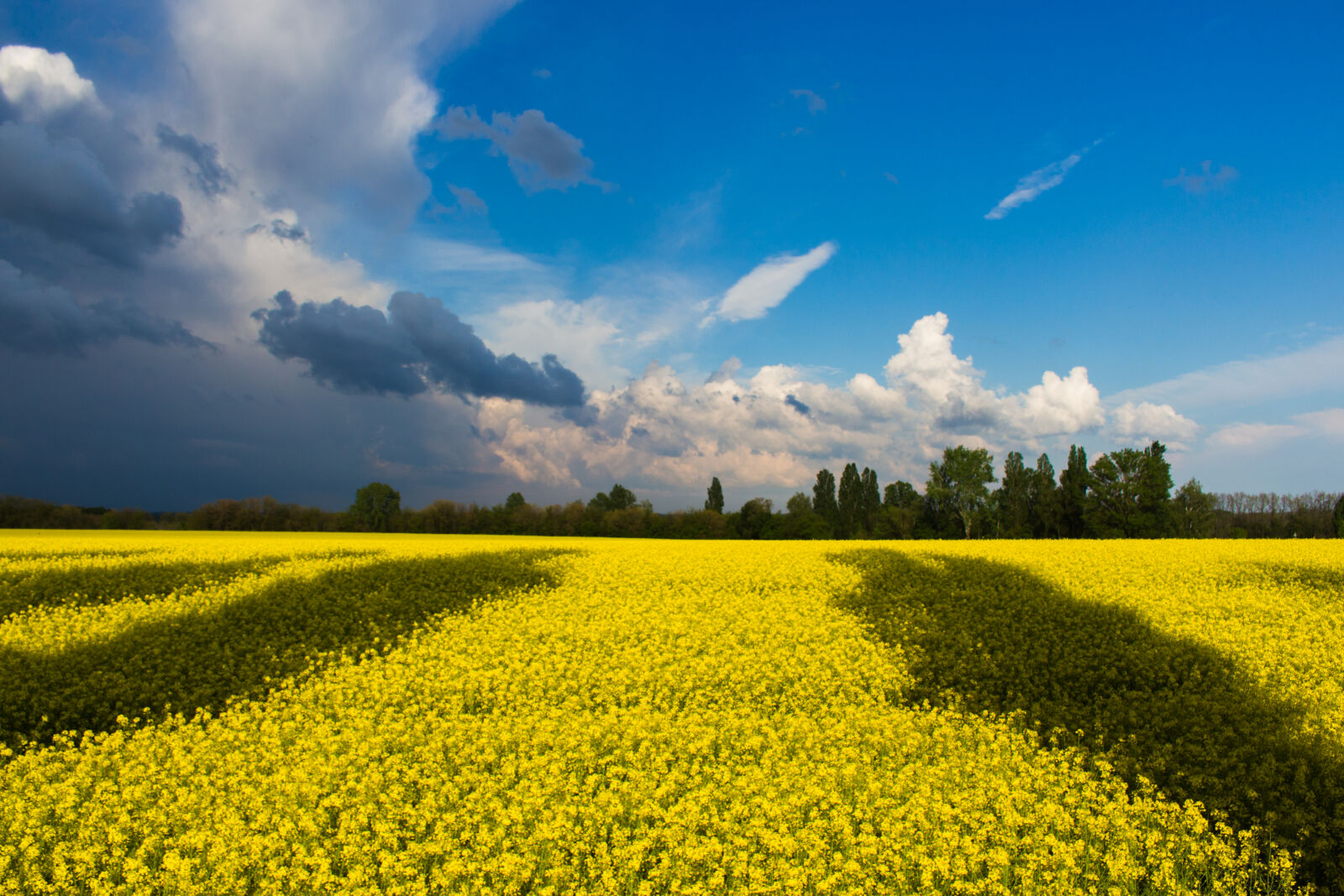 Canon EOS 700D (EOS Rebel T5i / EOS Kiss X7i) sample photo. Agriculture, blue, kies, clouds photography