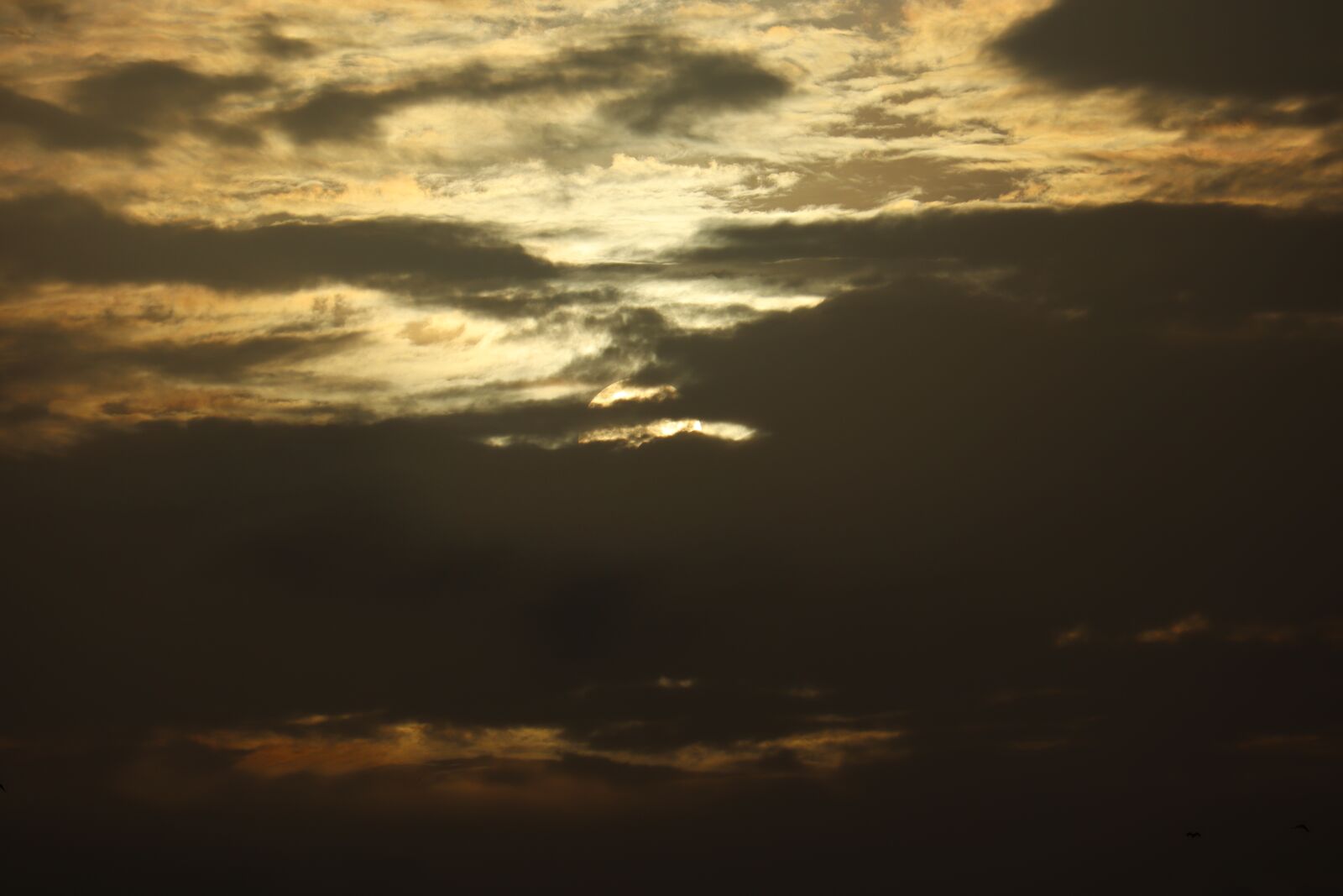 Canon EOS 250D (EOS Rebel SL3 / EOS Kiss X10 / EOS 200D II) sample photo. Nature, sunset, sun photography