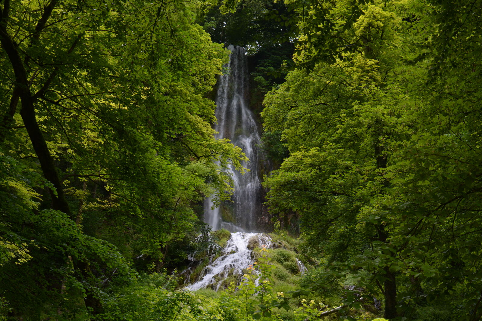 Nikon D5200 sample photo. Forest, stream, waterfall photography