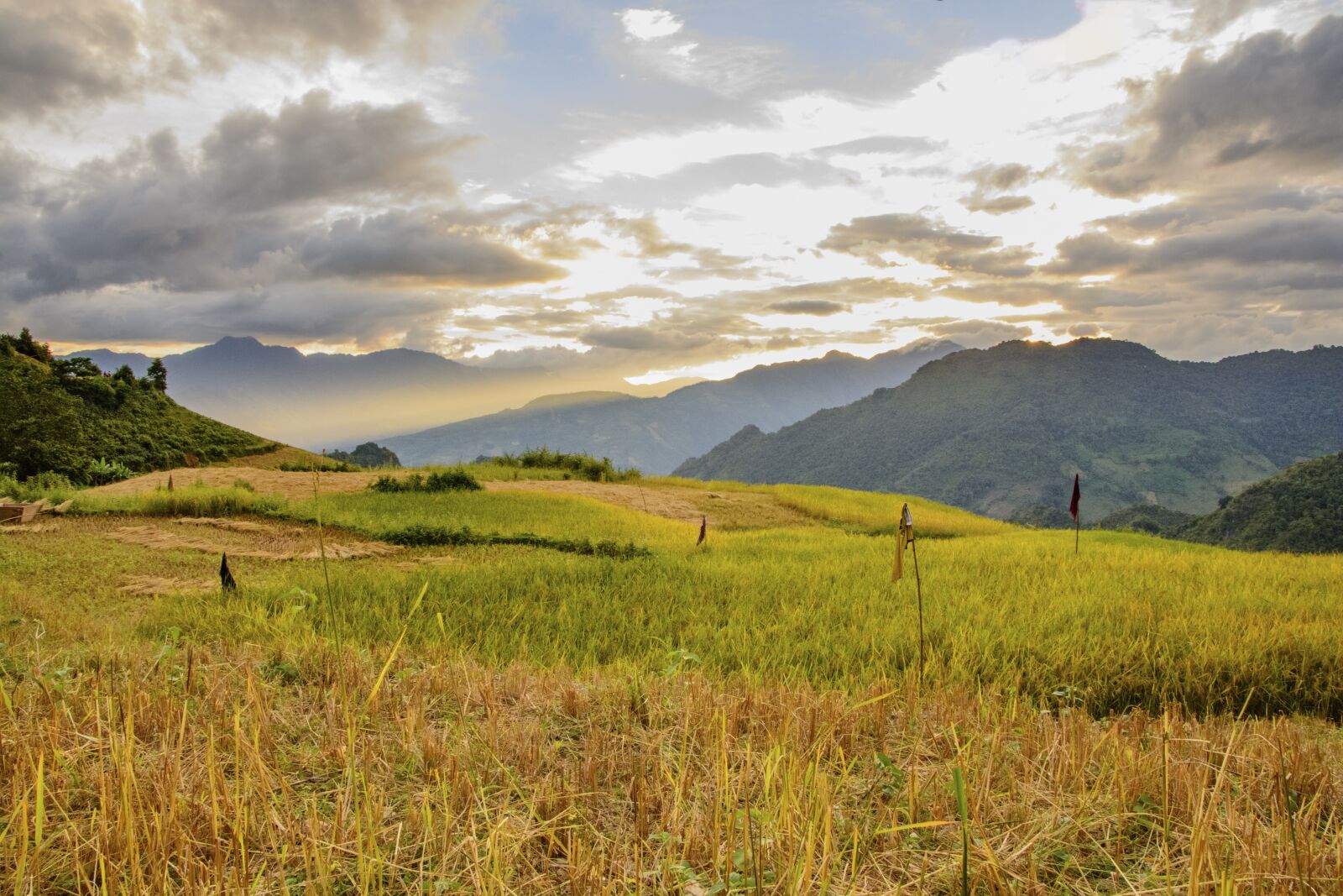 Nikon D7100 sample photo. Terraces, cooked rice, sunset photography