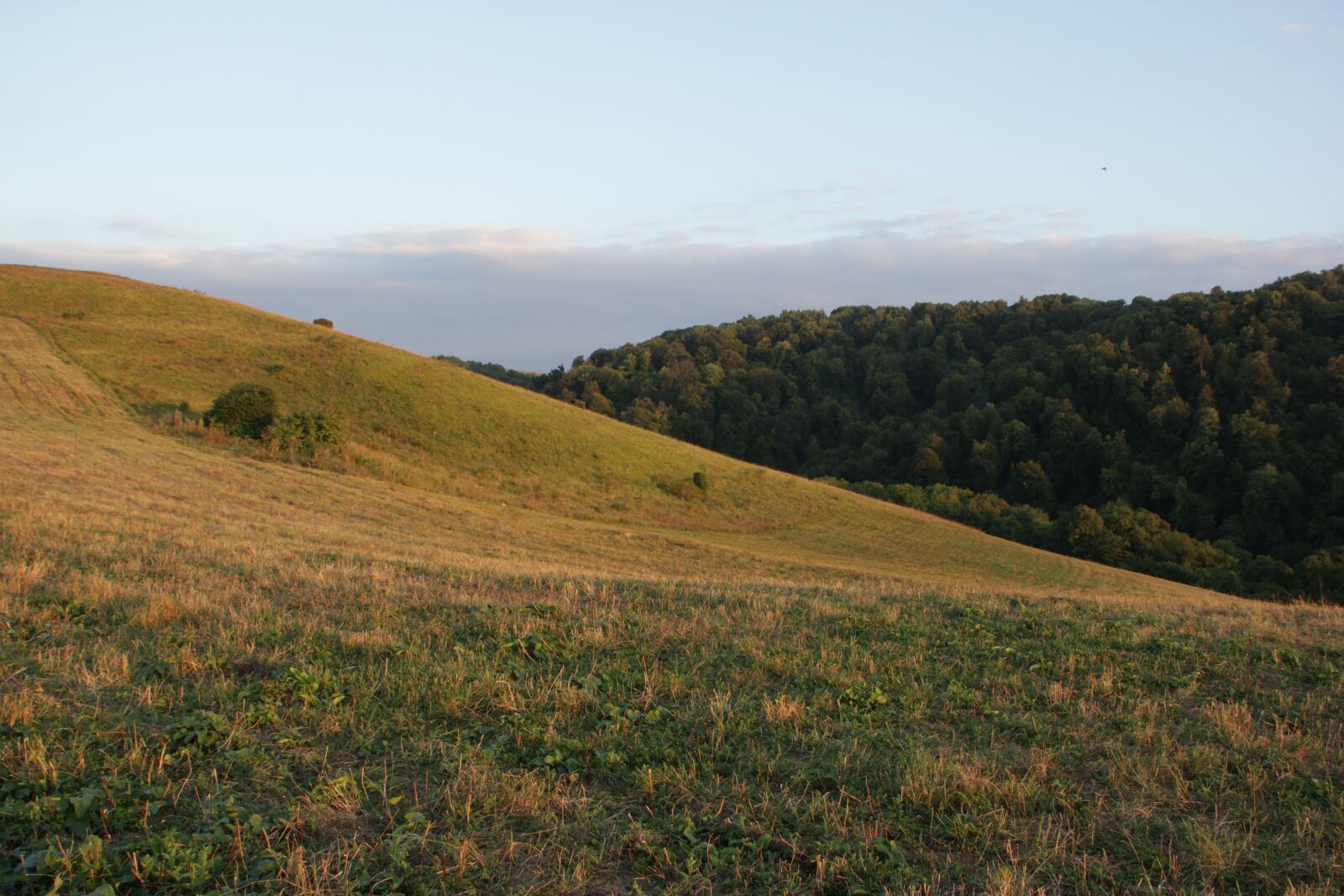 Canon EOS 550D (EOS Rebel T2i / EOS Kiss X4) sample photo. Mountains, meadow, grass photography