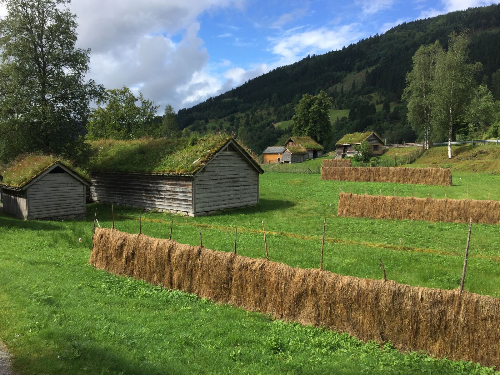 Apple iPhone 6 sample photo. Norway, sunnfjord, landscape photography