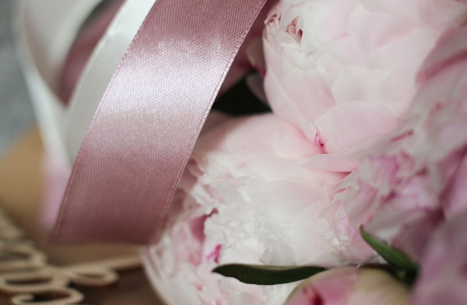 Canon EOS 1200D (EOS Rebel T5 / EOS Kiss X70 / EOS Hi) + Canon EF 50mm F1.8 STM sample photo. Peony, peonies, pink photography