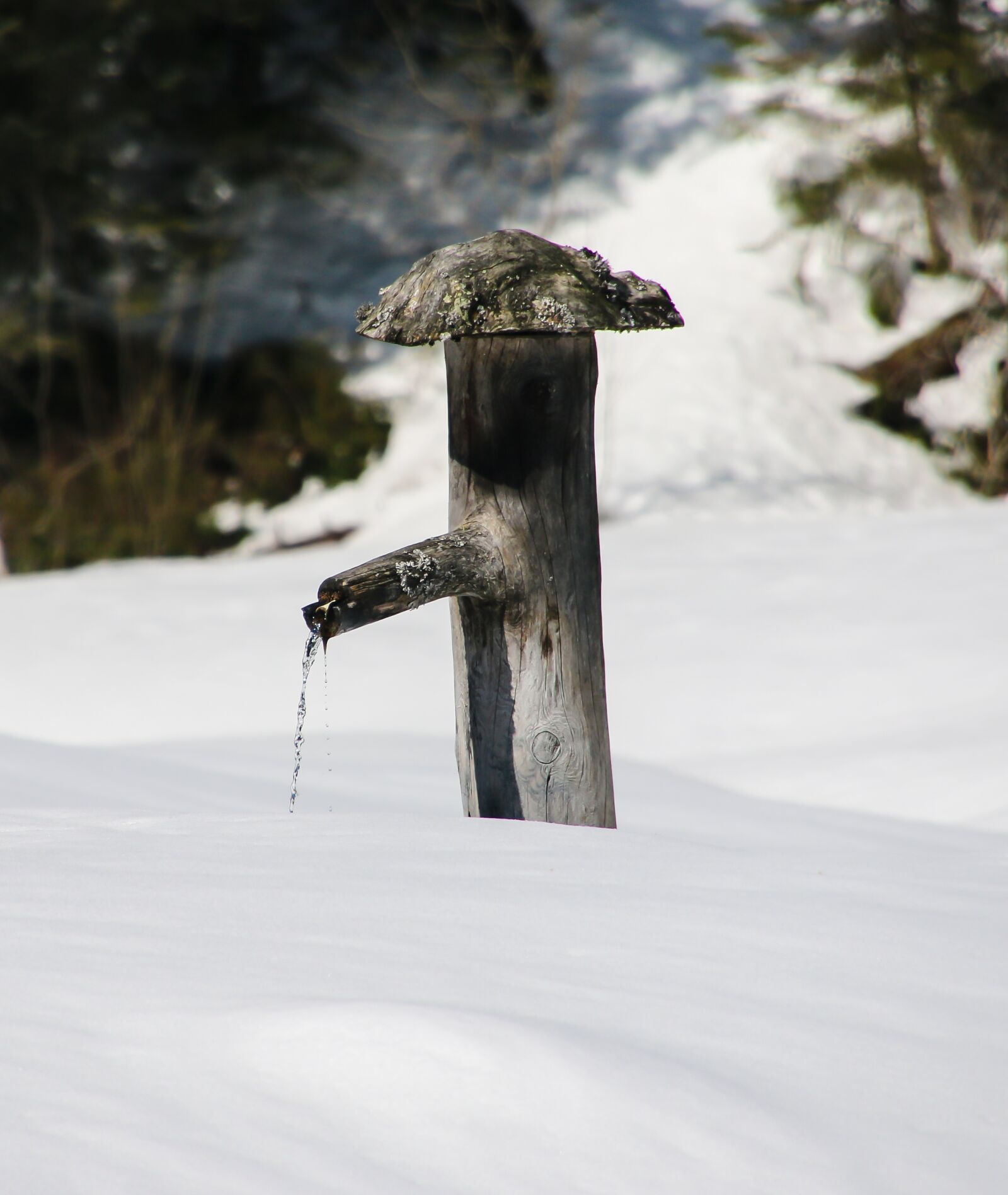 Canon EOS 70D sample photo. Winter, snow, wintry photography
