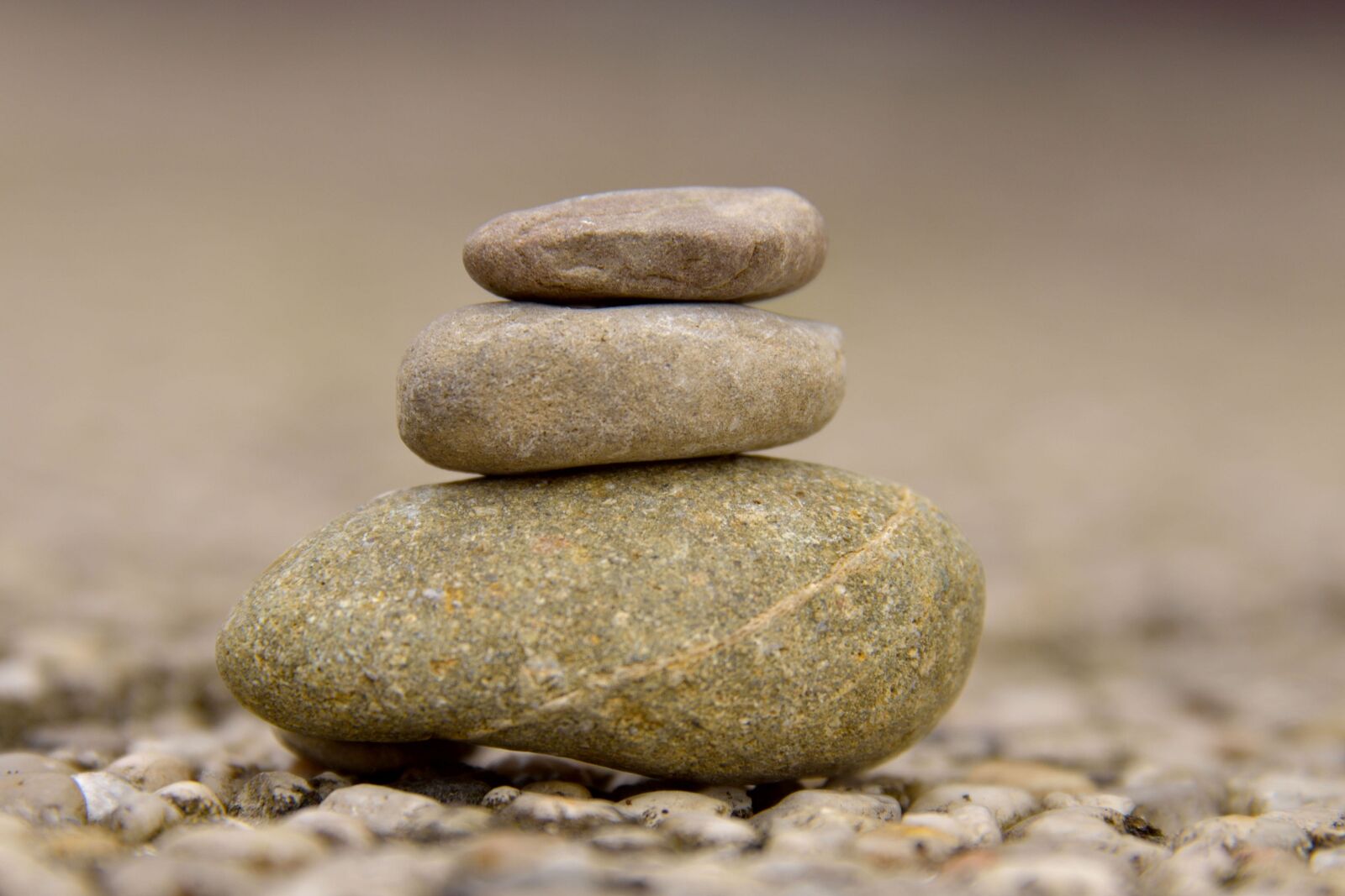 Nikon D750 sample photo. Stone, brown, beige photography
