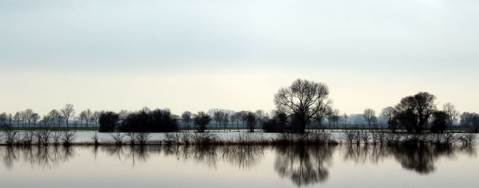 Canon EOS 1300D (EOS Rebel T6 / EOS Kiss X80) sample photo. Waters, nature, reflection photography