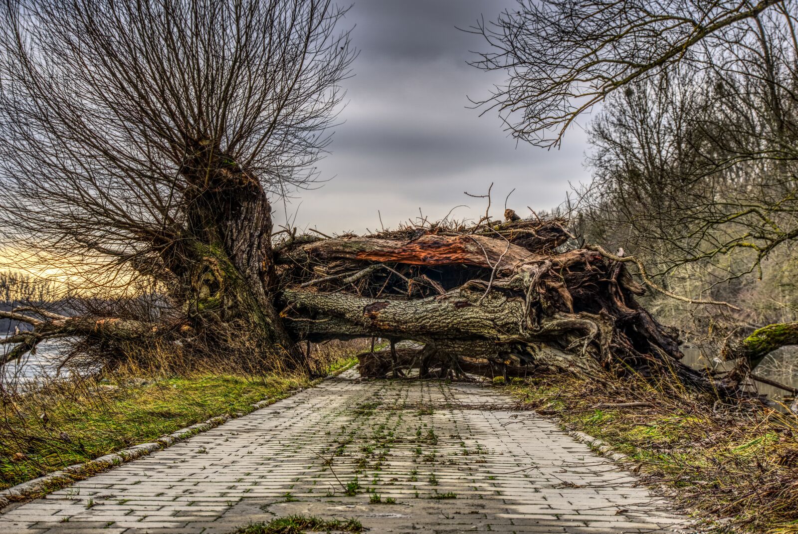Sony E 16-50mm F3.5-5.6 PZ OSS sample photo. Log, upset, devastated photography