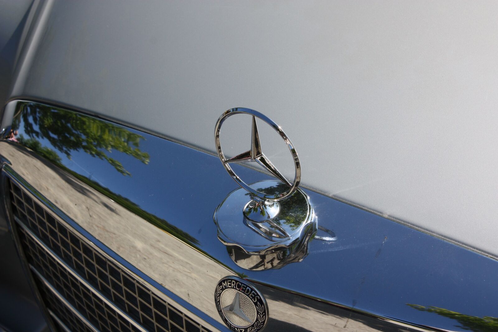 Canon EOS 450D (EOS Rebel XSi / EOS Kiss X2) sample photo. Mercedes, auto, oldtimer photography
