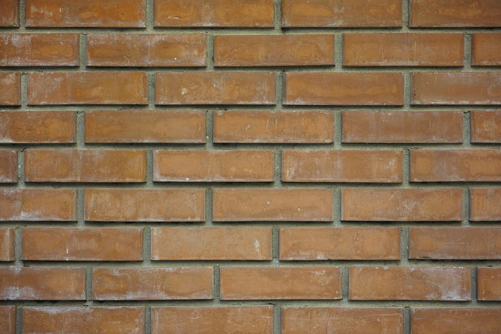 Sigma DP3 Merrill sample photo. Brick, wall, texture photography